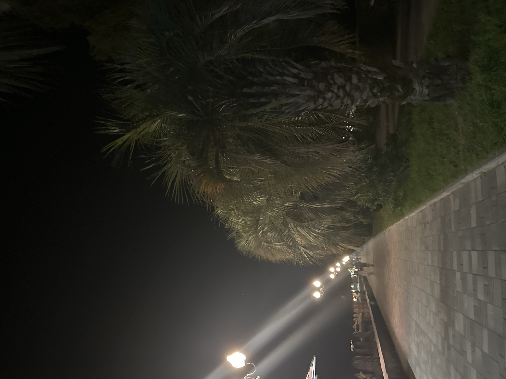 The image depicts a nighttime scene along a paved promenade, illuminated by streetlights. Palm trees are prominent on the right side of the frame, with their fronds casting shadows. A line of streetlights stretches along the left side of the promenade, casting bright beams onto the walkway. In the distance, two individuals are walking away from the camera along the promenade. A low wall with decorative elements runs parallel to the promenade on the left. The environment appears to be a coastal city.