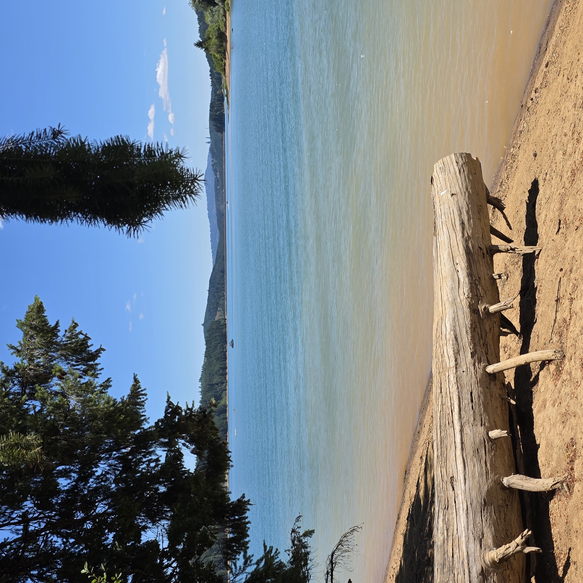 This is a photograph of a body of water with a log in the foreground. The water is a light blue color and appears to be a lake or reservoir. The log is weathered and gray, resting on a sandy beach. In the background, there are rolling hills covered in trees, and a clear blue sky with a few wispy clouds. There are also a few small boats visible on the water in the distance. The scene appears to be a serene, natural landscape. The location is identified as Cherry Grove, United States.