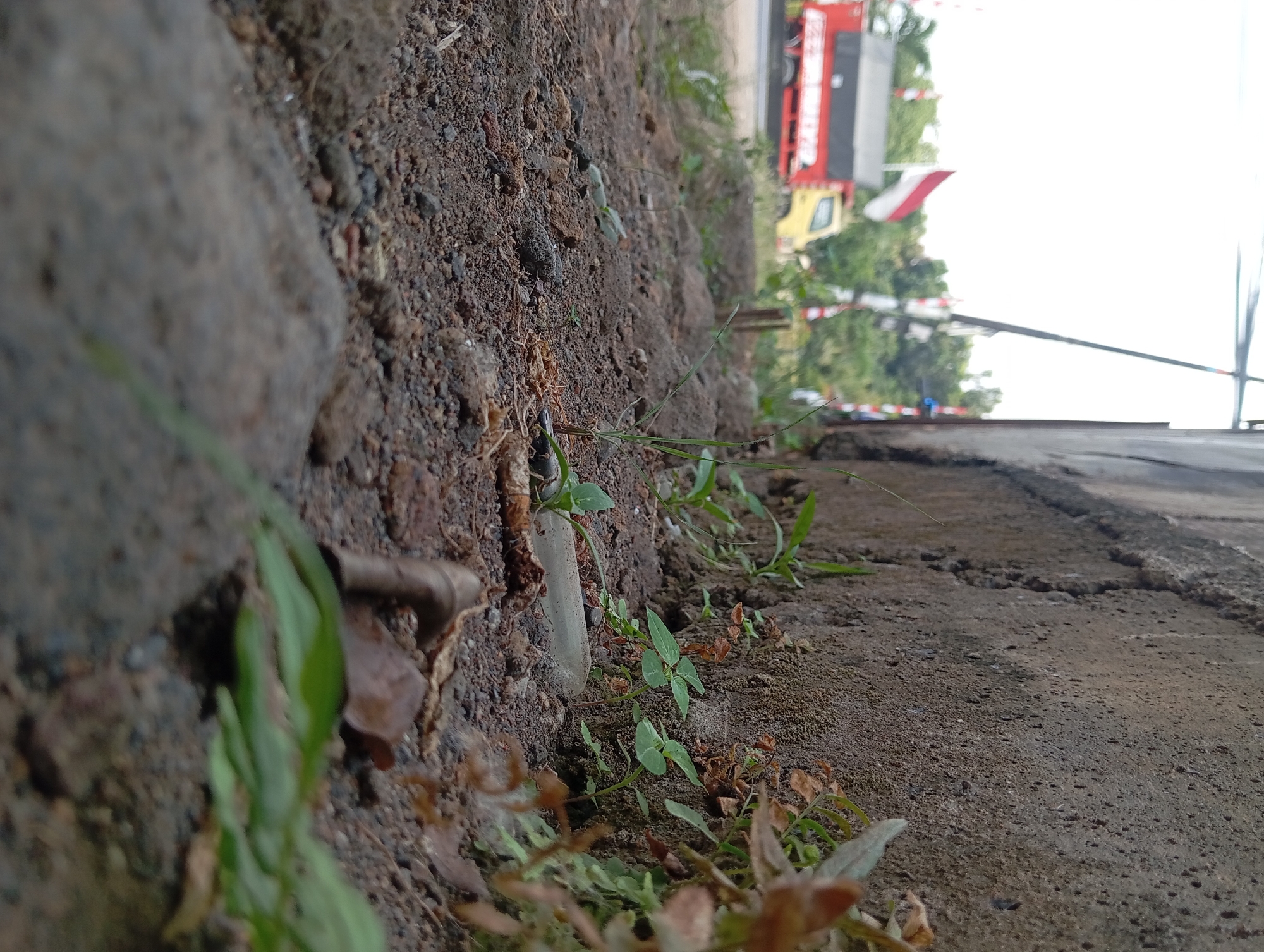 The image is a low-angle shot of a rough, textured concrete wall on the right side, with a gravelly and dusty ground surface in the foreground. Small green plants are growing in patches along the base of the wall and on the ground. In the background, a red truck with a yellow cab is visible on a road, with an Indonesian flag flying from a pole. The sky is overcast and bright. The scene appears to be an outdoor environment, possibly a roadside in the city of Lemahbang, Indonesia, given the presence of the Indonesian flag and the red and yellow truck, which are common in the region. There are no people visible in the image.