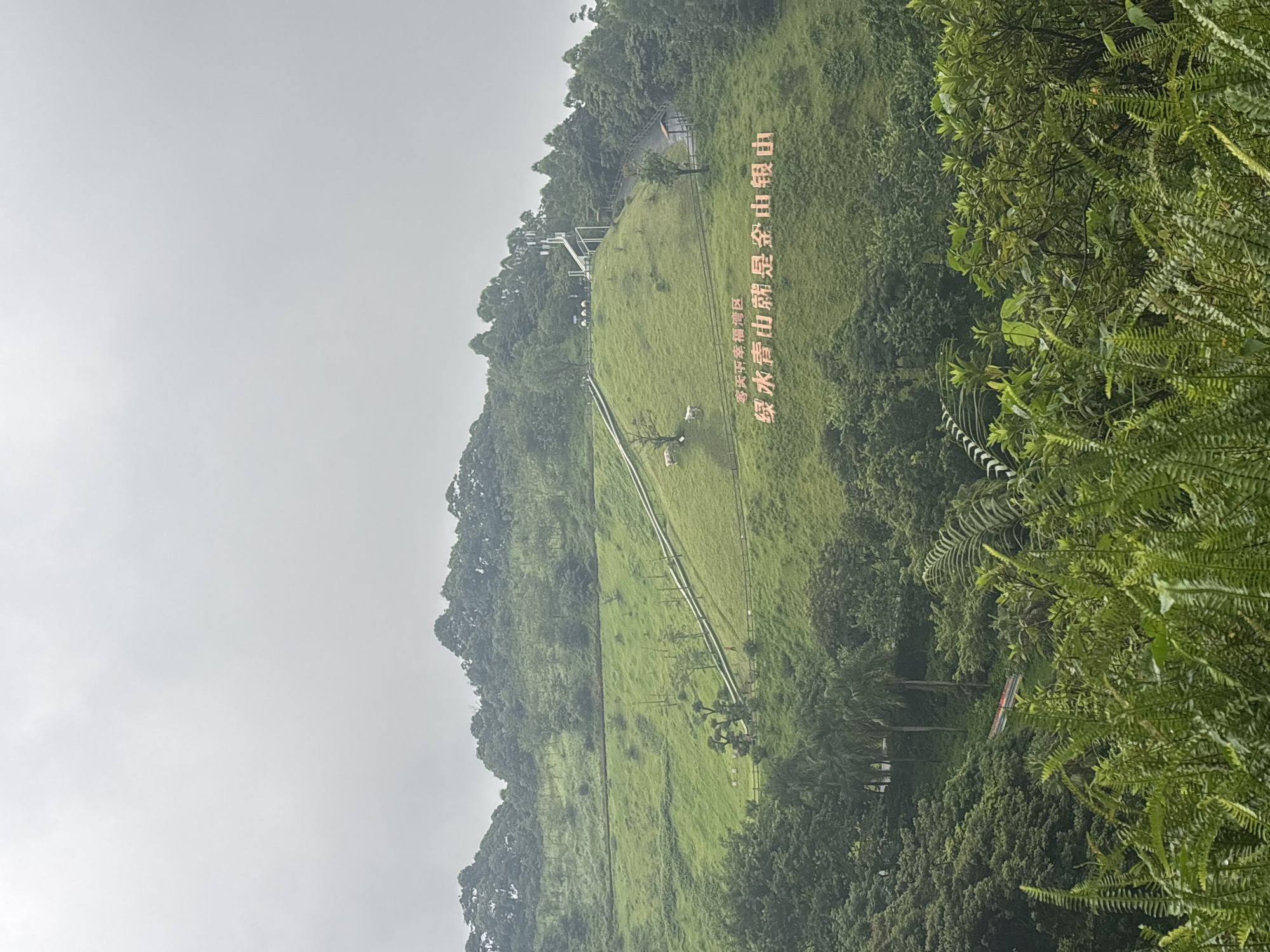 The image captures a lush, green hillside in Guangzhou City, China, under an overcast sky. Dominating the mid-ground of the image are large, illuminated Chinese characters that read "绿水青山就是金山银山" (lǜ shuǐ qīng shān jiù shì jīn shān yín shān), meaning "Lucid waters and lush mountains are invaluable assets." Above the characters, a white structure resembling a ski lift or an observation tower extends up the slope. Several small, white figures, possibly people or artificial animals, are visible on the grassy slope near the base of the structure. Further down the slope, a winding path is visible, bordered by a wooden fence in some sections. The foreground is filled with dense green foliage, including ferns. The overall impression is one of a natural landscape with a prominent environmental message.