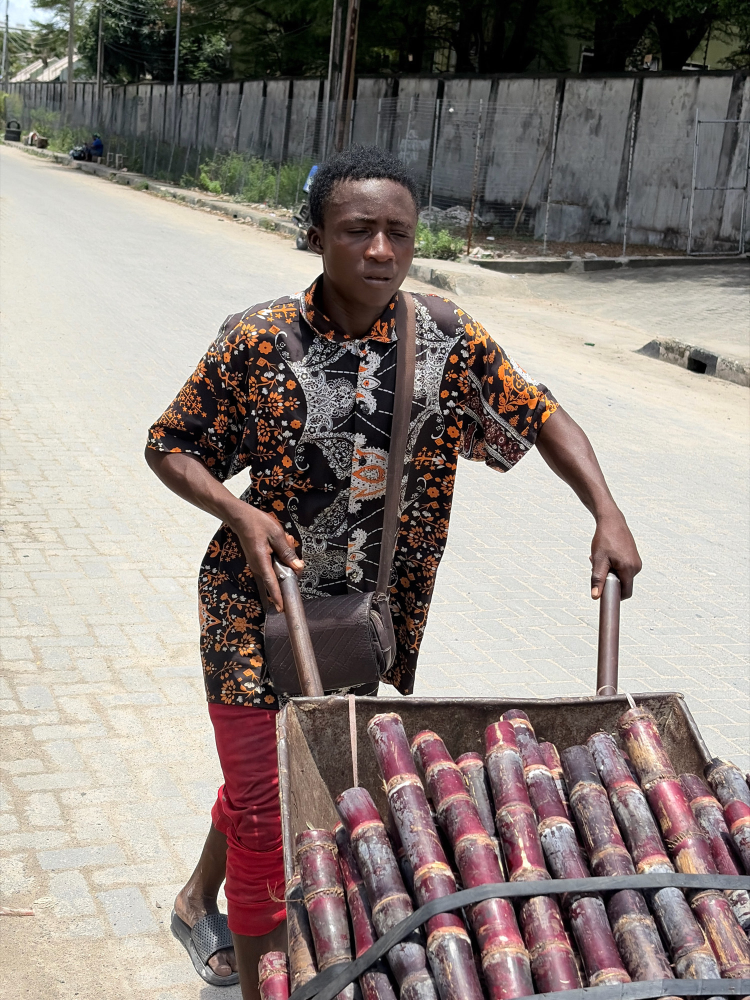 In Igboefon, Nigeria, a young Black man with dark skin and short black hair pushes a metal cart filled with harvested sugar cane stalks along a paved road. He wears a black shirt with an intricate orange, white, and black floral and paisley pattern, and tight red trousers. A dark brown crossbody bag is slung over his right shoulder. He is barefoot, wearing dark gray slides on his feet. The cart is loaded with numerous segmented, purple sugar cane stalks, held in place by a black strap. The man's posture suggests he is in motion, pushing the cart. The background features a gray concrete wall with vertical wooden planks, a dirt path, and trees with dense green foliage. Beyond the wall, a clear sky is visible. The road appears to be a thoroughfare, with a curb and a drainage ditch on the right side. In the distance, on the left side of the road, two individuals are seated near a fence.