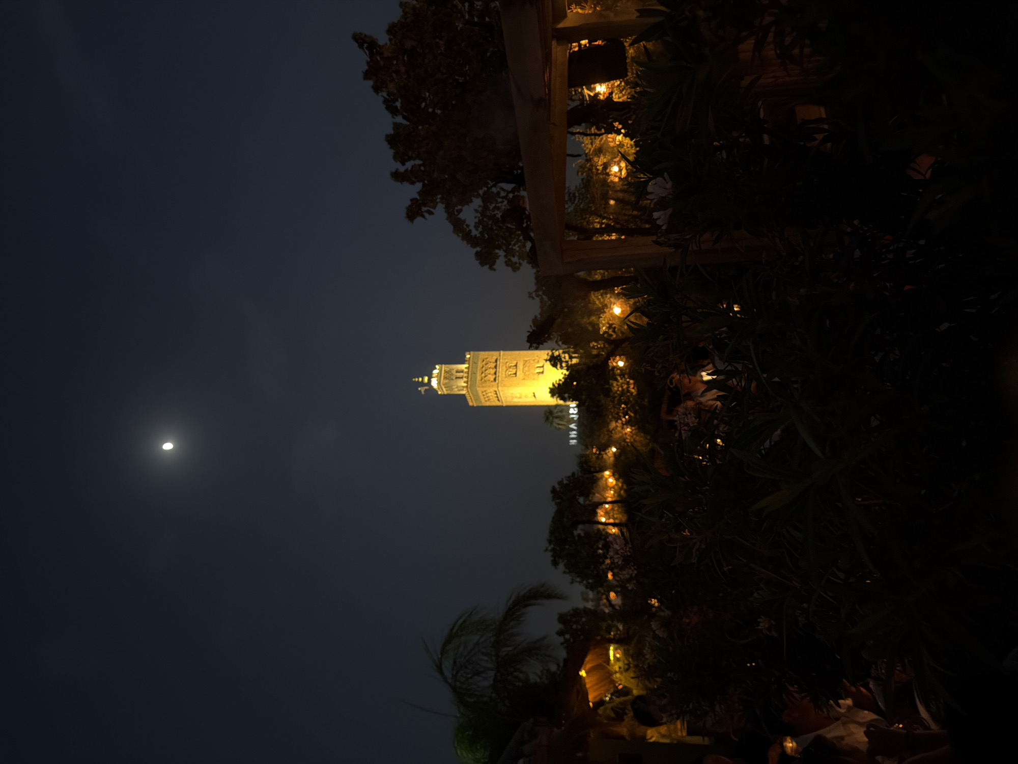 A nighttime scene in Marrakesh, Morocco, features the Koutoubia Mosque illuminated by warm lights against a dark blue sky with a crescent moon. The lower portion of the image is dominated by dense foliage and shrubs, with some indistinct figures and architectural elements peeking through. Strings of lights are visible, creating a festive atmosphere. The overall impression is of an outdoor dining or gathering space with the iconic mosque as a backdrop.