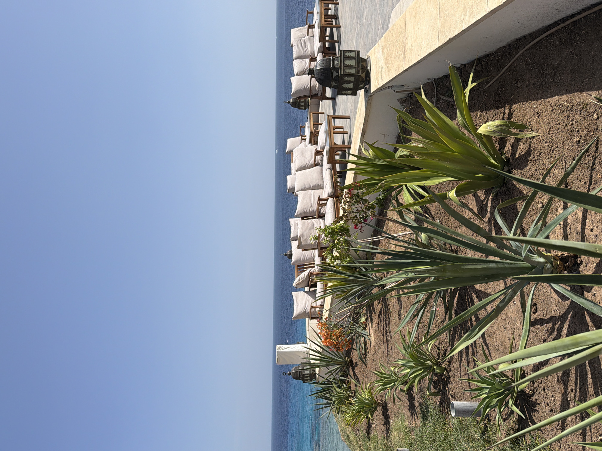 The image depicts a seaside resort in Sharm El Sheikh, Egypt. The location is likely a terrace or elevated platform overlooking the Red Sea, as indicated by the clear blue sky meeting the darker blue water. On the right side of the image, a raised garden bed is visible, featuring succulent plants. Adjacent to the garden bed, there is a row of chairs and cushions arranged for seating. Decorative lanterns are interspersed between the chairs, adding to the ambiance. The overall setting suggests a relaxed and luxurious environment.
