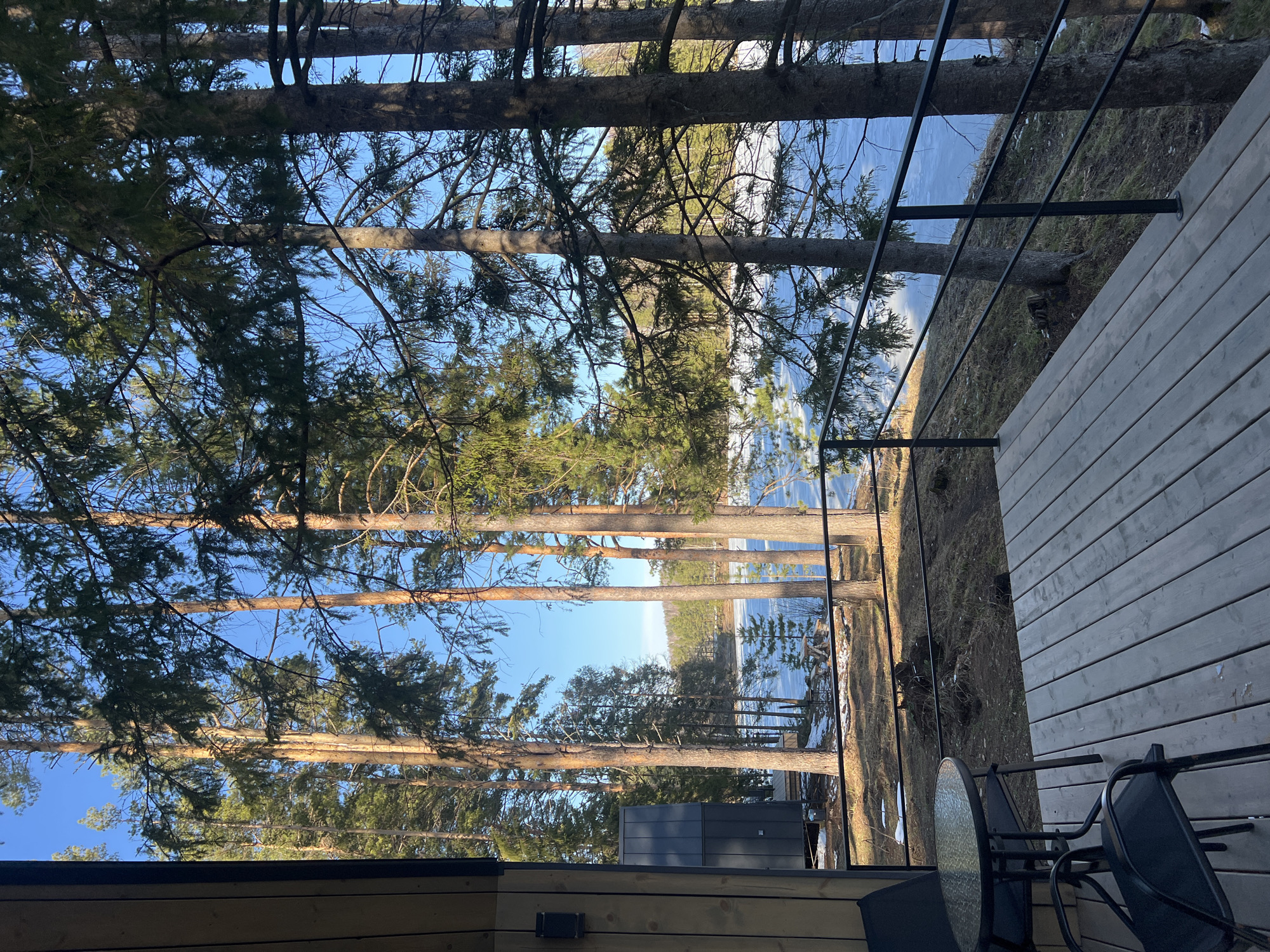 View from a wooden deck, looking out at tall, slender pine trees and a body of water that appears partially frozen or covered in ice. The deck has a black metal railing and a round glass table with chairs. Underneath the deck, part of a gray building is visible. The sky is blue. The location is Мишкино, Russia.