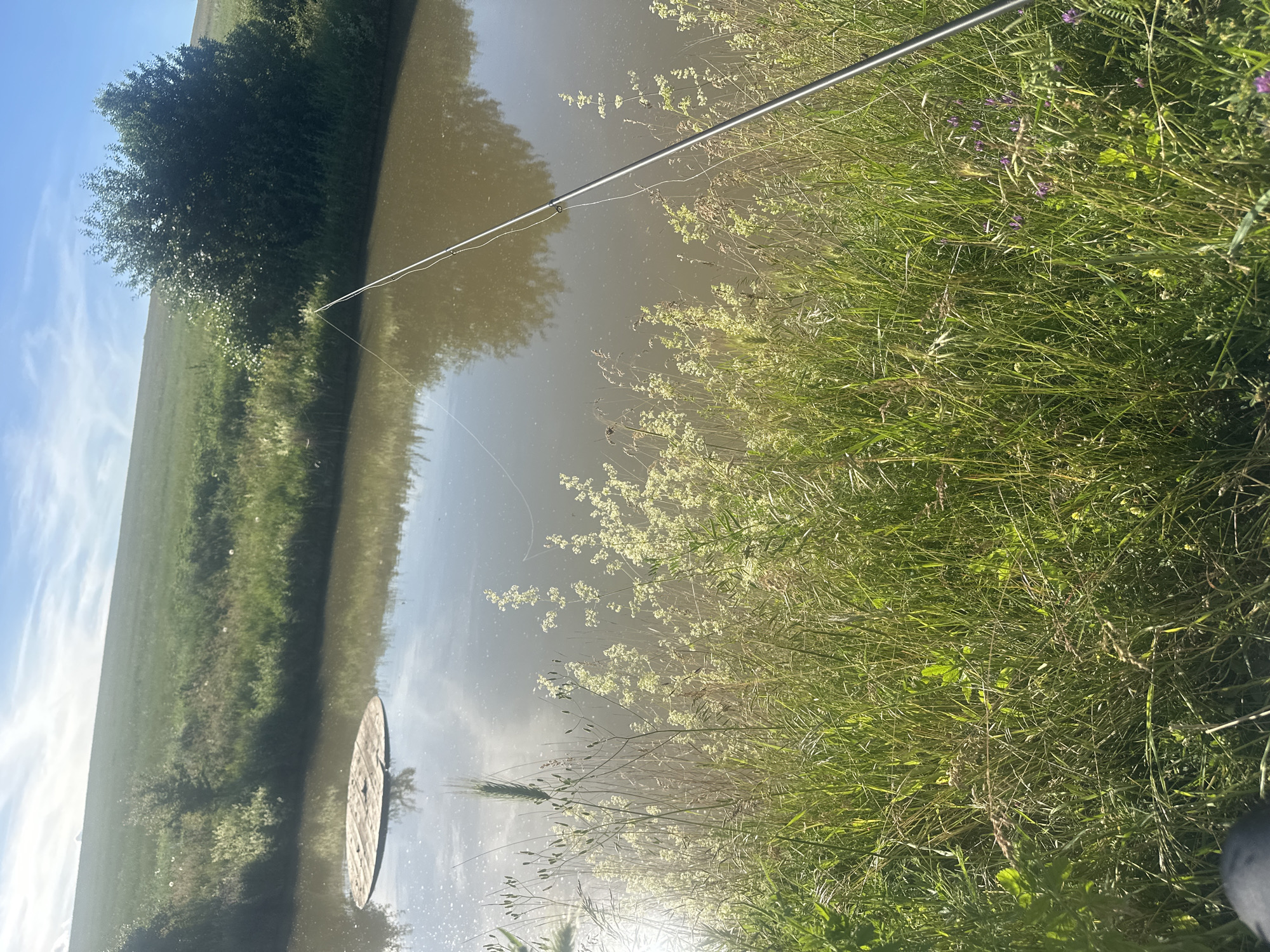 The image depicts a serene natural setting, likely a pond or small lake, situated in or near Cherven Breg, Bulgaria. In the foreground, lush green grass and wild flowers line the bank of the water. A fishing rod is visible, angled across the water, suggesting the activity of fishing. In the middle ground, a circular wooden platform floats on the surface of the murky water. The background consists of a gently sloping grassy hill, topped with a thicket of trees. The sky above is a clear blue with scattered white clouds, and the sun casts reflections on the water's surface. No individuals are present in the frame, implying a solitary or recent presence.