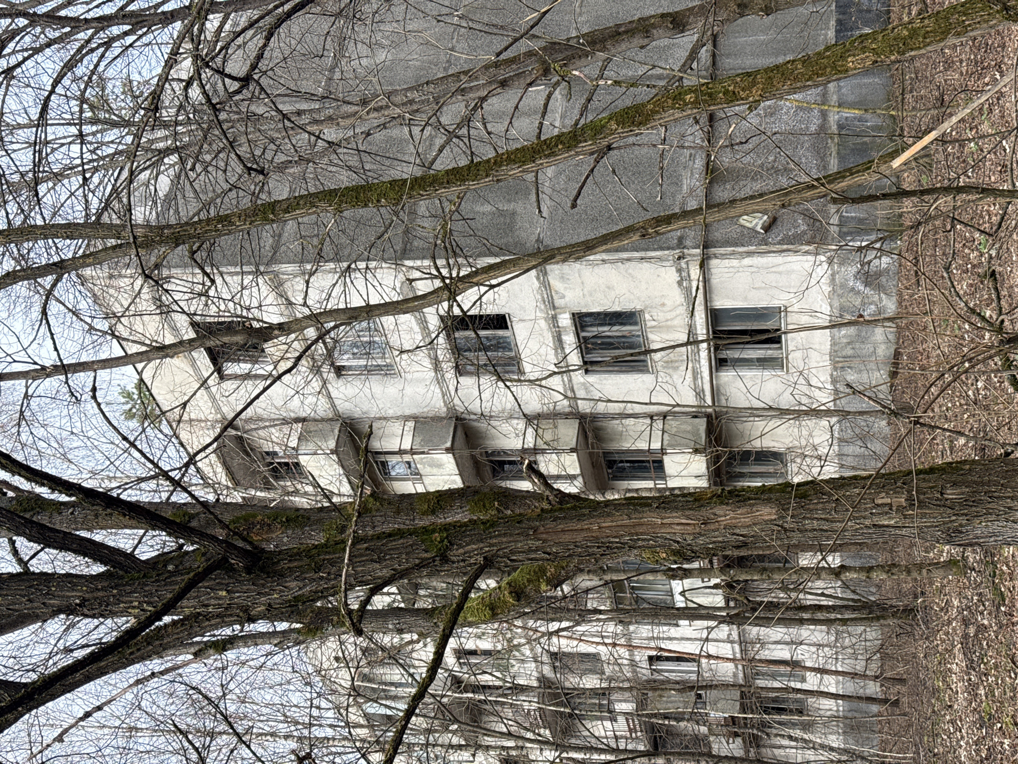The image shows a multi-story building in Prypiat, Ukraine, viewed through a dense network of bare tree branches. The building has a dilapidated appearance, with visible decay and broken windows. The architecture features protruding balconies. The foreground is filled with tree branches, obscuring parts of the building. The ground is covered with dry leaves and debris.