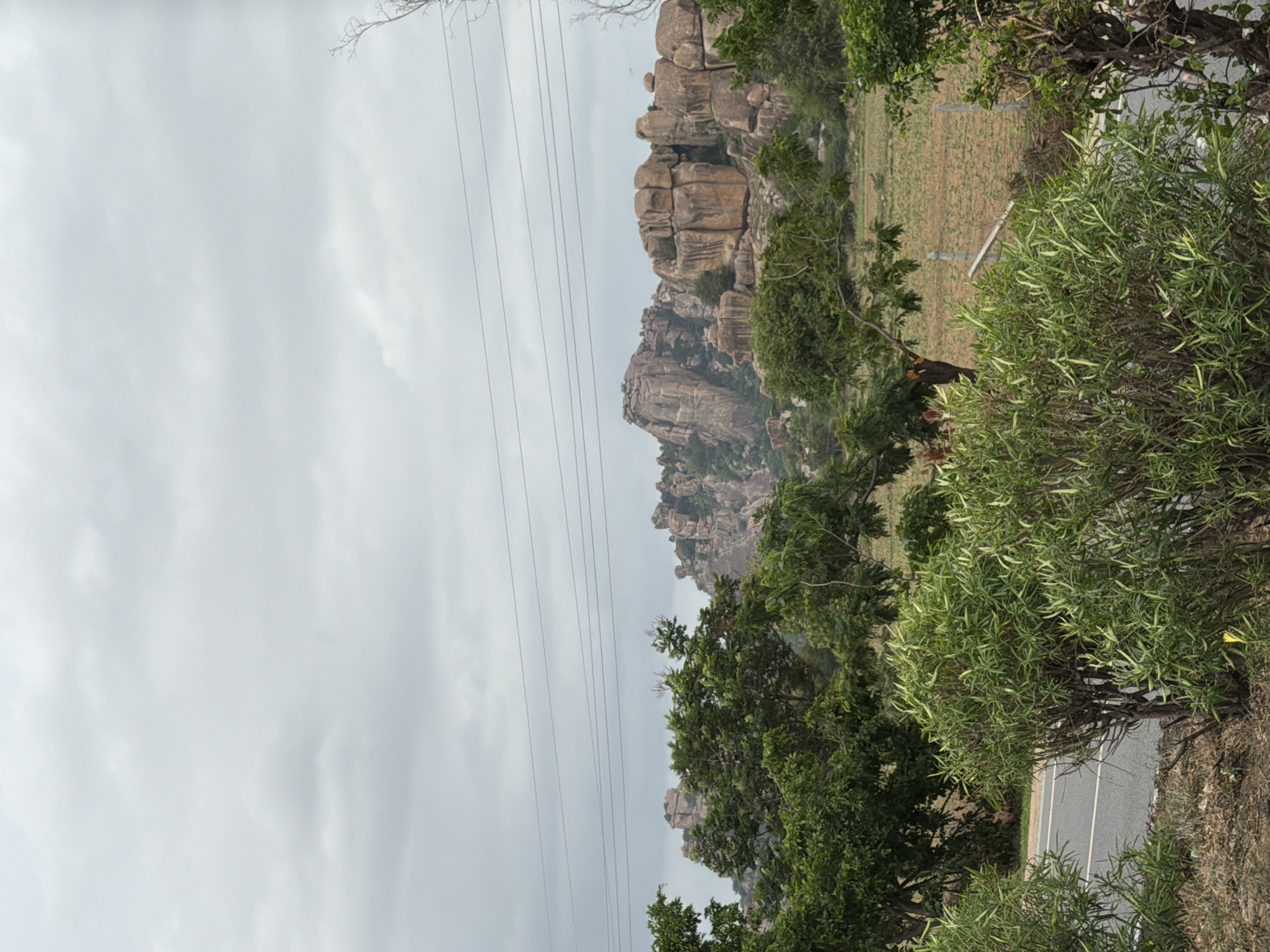 The image captures a landscape scene with a road in the foreground, bordered by vegetation. In the middle ground, lush green trees form a dense canopy, with a few bare branches visible. Beyond the trees, a field of dry, reddish-brown soil stretches into the distance. Dominating the background are imposing, rugged rock formations, characterized by their large, rounded boulders and weathered surfaces. The sky above is overcast with a layer of thick, gray clouds, suggesting a dull or rainy day. Power lines are strung across the sky, spanning the width of the frame. The scene is likely located in or around Addakal, India, given the rocky terrain and vegetation characteristic of the region. No people or specific actions are depicted; the image focuses on the natural environment and geological features.