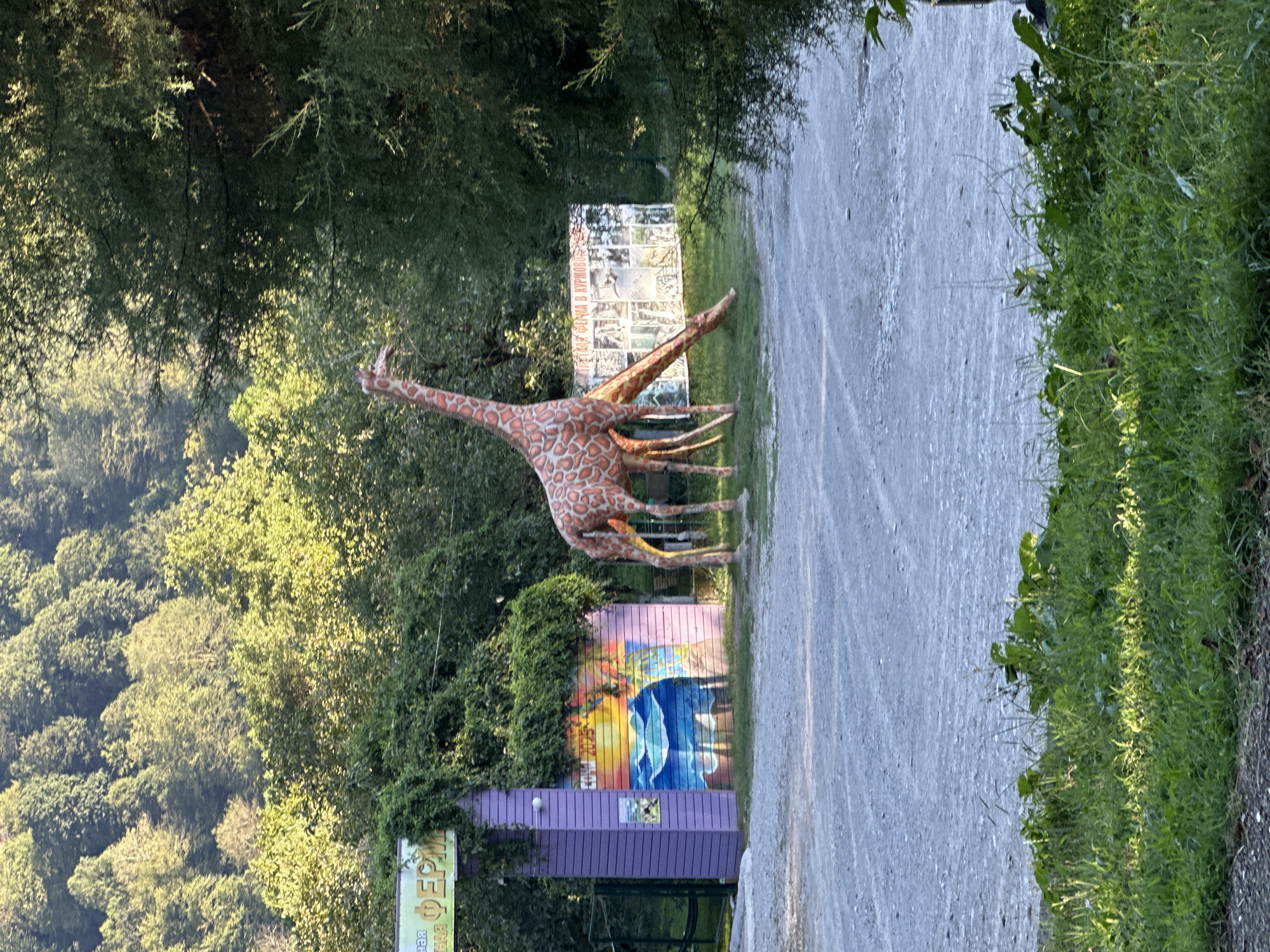 The image depicts an outdoor scene in the city of Bol'shoi Kichmai, Russia, featuring a large, orange and white spotted giraffe sculpture. The sculpture is positioned on a gravel pathway, with its head raised and one leg extended forward as if walking. Behind the giraffe, a vibrant mural adorns a purple, shed-like structure, depicting a colorful sunset over a body of water and palm trees. Above this structure, a green sign with Cyrillic lettering is visible. Further in the background, a white banner with text and images is displayed, and beyond that, lush green trees and foliage cover a hillside. The foreground is dominated by a gravel area and a strip of green grass and plants. The overall setting appears to be a park or an attraction.