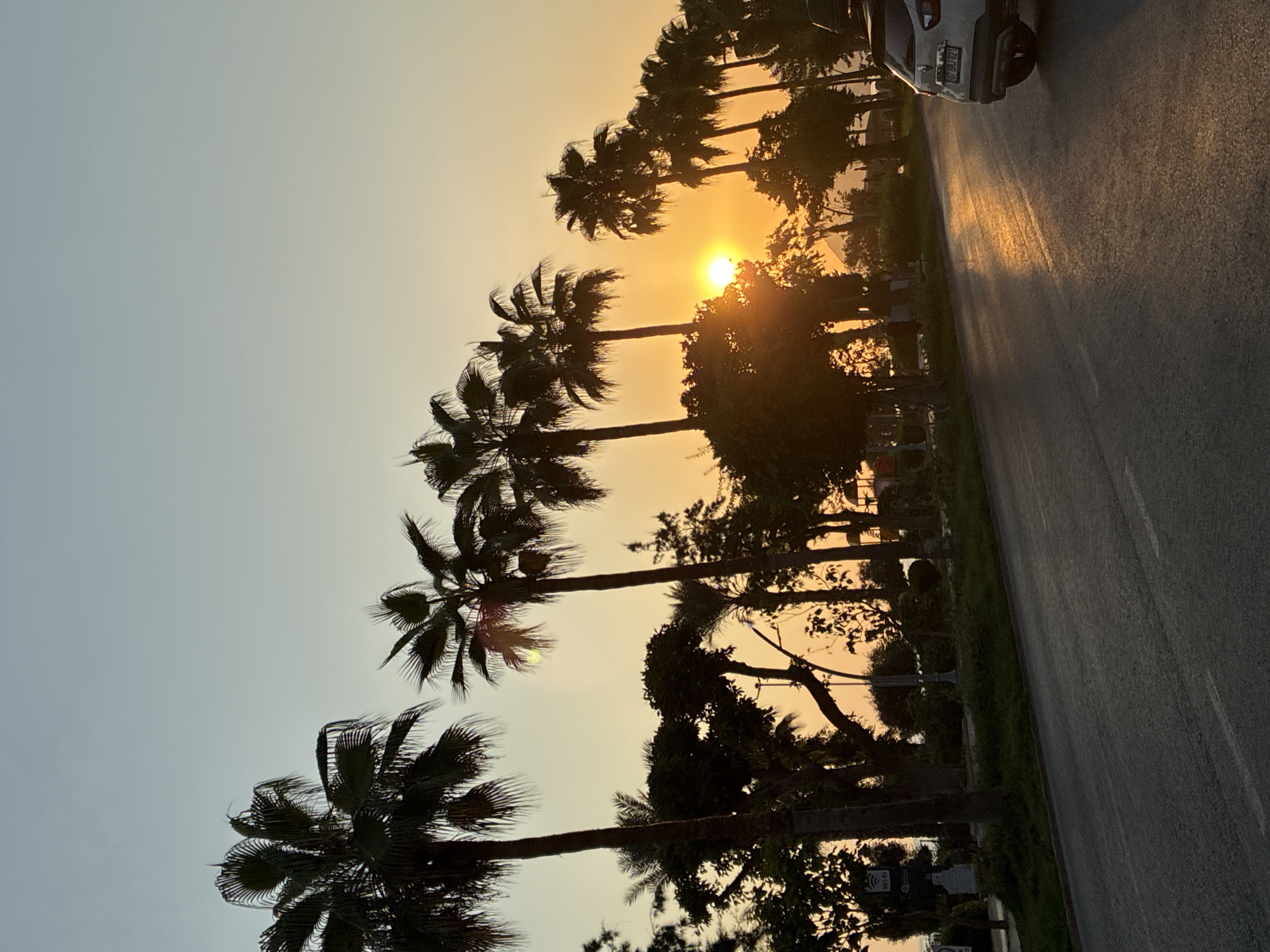 The image depicts a sunset scene on a road in Alanya, Turkey. The sun is setting behind a line of palm trees, casting a warm orange glow across the sky and the asphalt road. A white SUV with a roof rack is driving away from the camera on the right side of the road. Trees and vegetation line the left side of the road, with some appearing to be parkland or a roadside strip. The sky is a gradient of pale blue to orange, characteristic of a sunset.