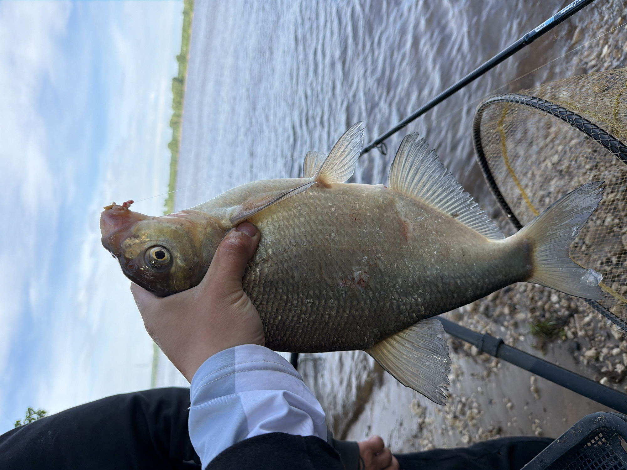A person holds a caught fish, likely a bream, in their left hand near a body of water, possibly a river or lake, with a fishing rod and landing net visible nearby. The background shows the opposite shoreline and sky with light clouds. The person wears a dark jacket and a white and gray long-sleeved shirt. The fish has a hook in its mouth, suggesting it was recently caught. The scene appears to be outdoors in a natural environment near Noviy, Russia.