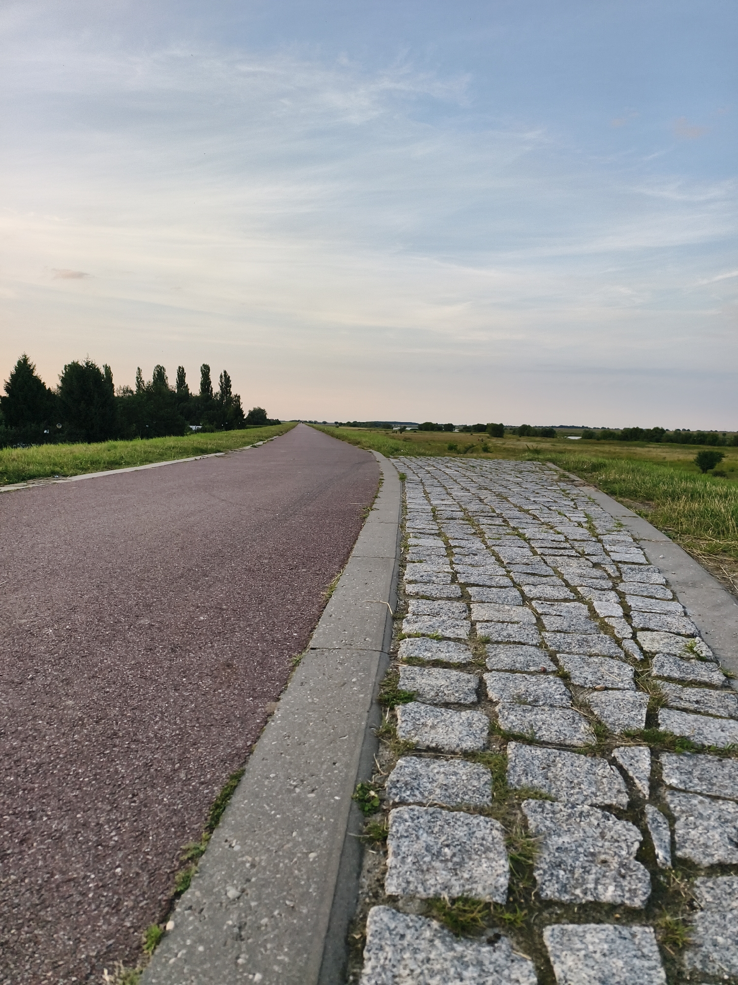 The image depicts a scene in Tczew, Poland, featuring two paths diverging into the distance under a pale, overcast sky with wispy clouds. On the left is a smooth, reddish-brown asphalt path, wide enough for multiple users, bordered by a concrete curb. To the right of the curb is a path paved with rough-hewn, grey cobblestones, with patches of green grass growing between them. This cobblestone path appears to be slightly elevated and narrower. Both paths lead towards a horizon line marked by a distant line of trees and fields. The immediate surroundings consist of green grass and vegetation along the edges of the paths. The overall impression is one of a recreational or utilitarian pathway in a somewhat rural or park-like setting within the city. There are no people or discernible structures immediately visible in the foreground or mid-ground. The lighting suggests it is either early morning or late afternoon.