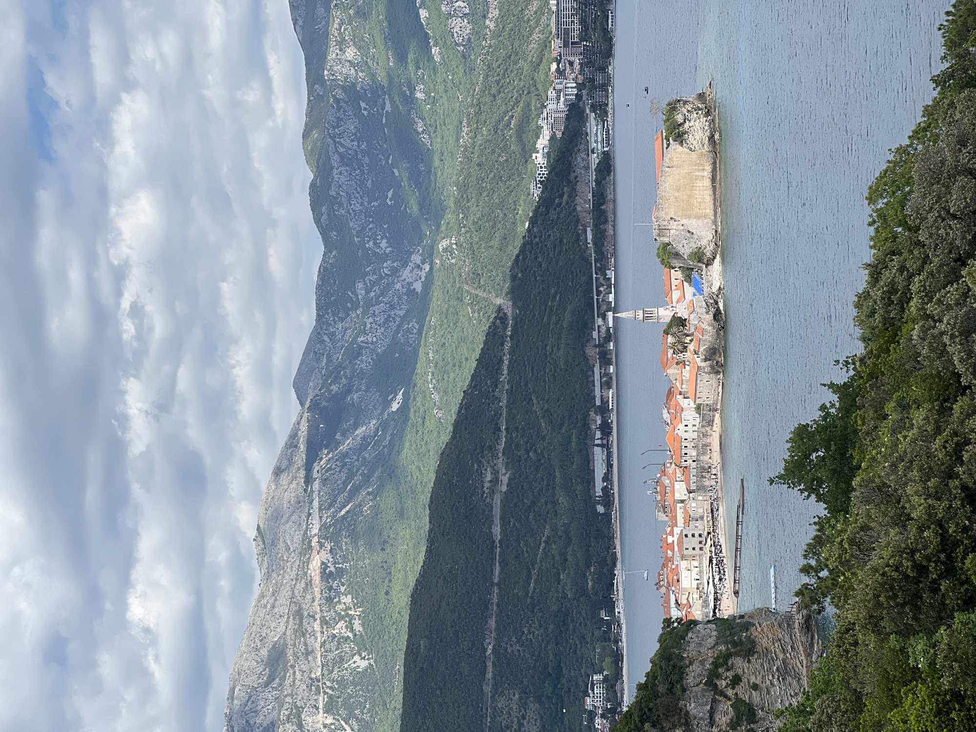 The image shows a landscape featuring the town of Sveti Stefan, near Budva, Montenegro. The town, characterized by its red-roofed buildings, sits on a peninsula connected to the mainland by a narrow isthmus. A large rocky island lies just off the coast, adjacent to the town. The backdrop includes a mountain range covered in patches of green vegetation and grey rock formations. A stretch of buildings lines the coast between the mountain and Sveti Stefan. The sky is filled with cloudy weather, casting shadows on the landscape. Green foliage and rock formations frame the bottom-right corner of the image, suggesting the photograph was taken from an elevated position.