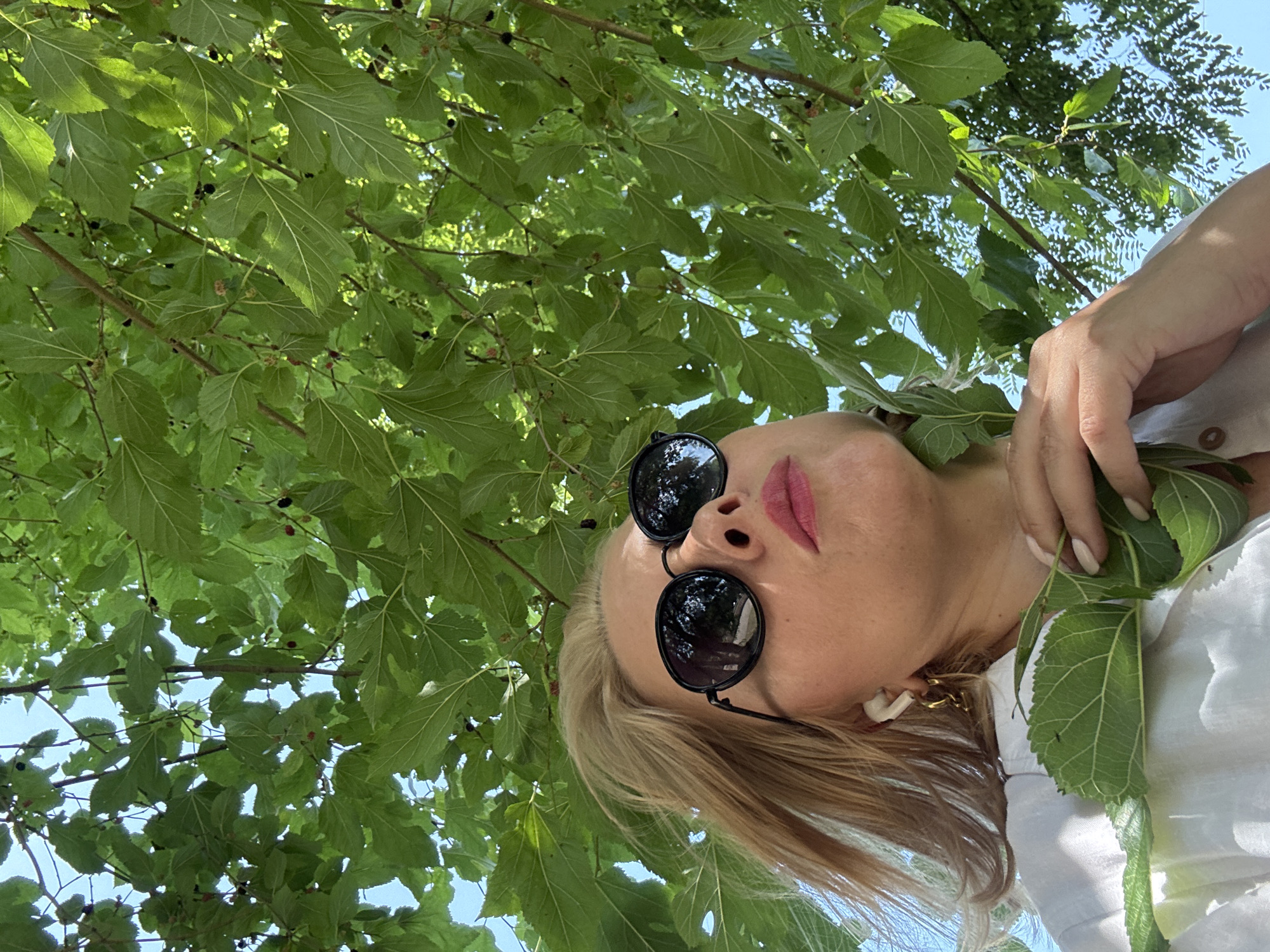 This is an upward-facing, eye-level, medium shot of a woman outdoors, partially obscured by the leaves and branches of a mulberry tree. The woman has blonde hair and is wearing sunglasses and a white top. She is also wearing gold earrings. Her lips are painted pink, and she appears to be looking up into the tree. A few mulberries are visible among the green leaves. The setting appears to be a sunny day, with the blue sky visible through the tree canopy. The scene is likely set in Sochi, Russia.