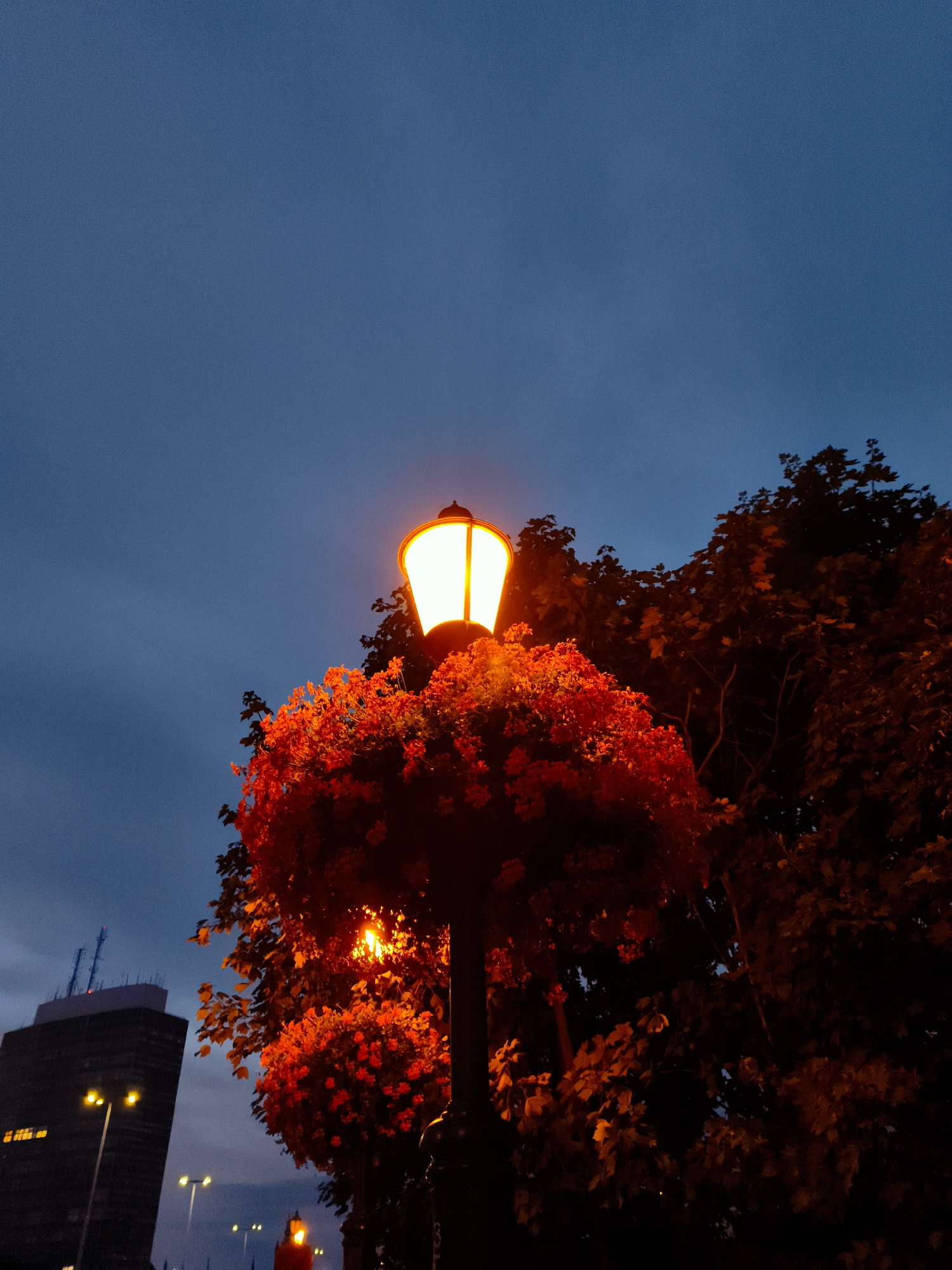 The image captures a street lamp illuminated with a warm orange glow, casting light on surrounding foliage. The lamp is adorned with a lush display of red flowers, which are dramatically lit, creating a vibrant contrast against the deepening twilight sky. Behind the lamp, a dark silhouette of trees is visible, their leaves catching some of the light. In the background, to the left, a modern, dark skyscraper stands tall, its windows emitting a soft yellow light. Several other street lamps are visible in the distance, along with hints of city structures and a sliver of a cloudy sky. The scene suggests an urban environment in Gdańsk, Poland, possibly during the early evening or late dusk. There are no people or animals visible in the frame.