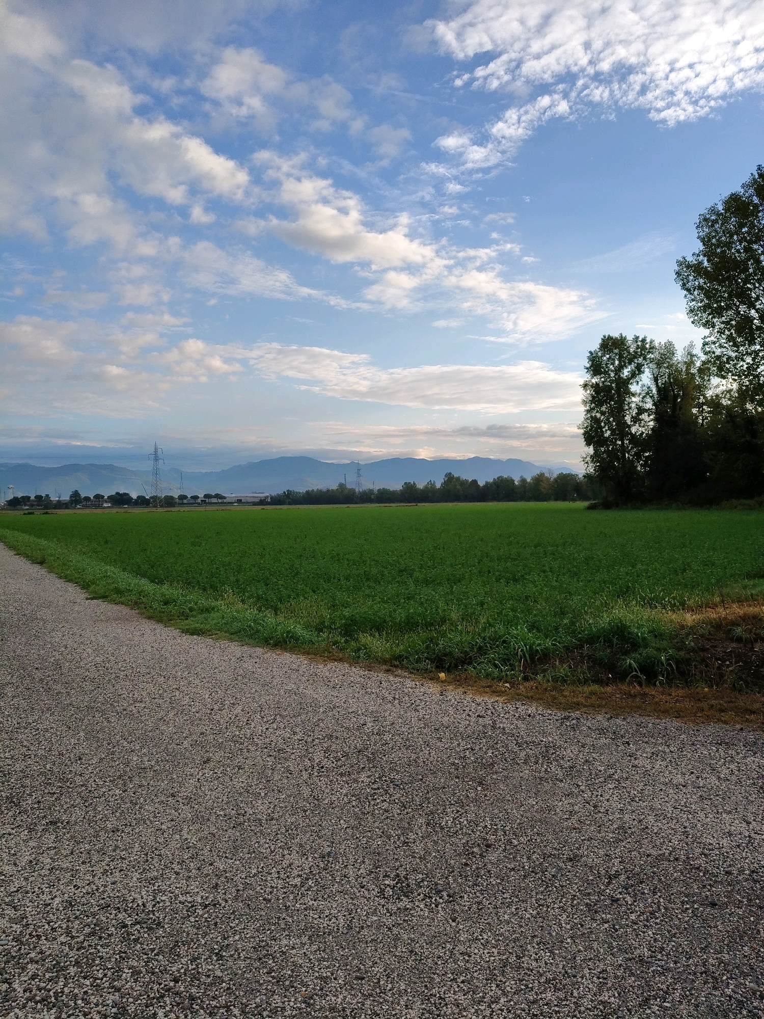 An outdoor, full-shot image depicts a gravel path leading towards a vast, green field under a partly cloudy sky. The path occupies the foreground, with the field stretching into the mid-ground. In the background, a line of trees separates the field from a distant mountain range. The sky is a mix of blue and white clouds, with a soft light suggesting either early morning or late afternoon. No people or animals are visible in the scene. The environment is rural, with no man-made structures immediately apparent, save for distant power lines visible on the horizon. The overall impression is one of natural beauty and tranquility.