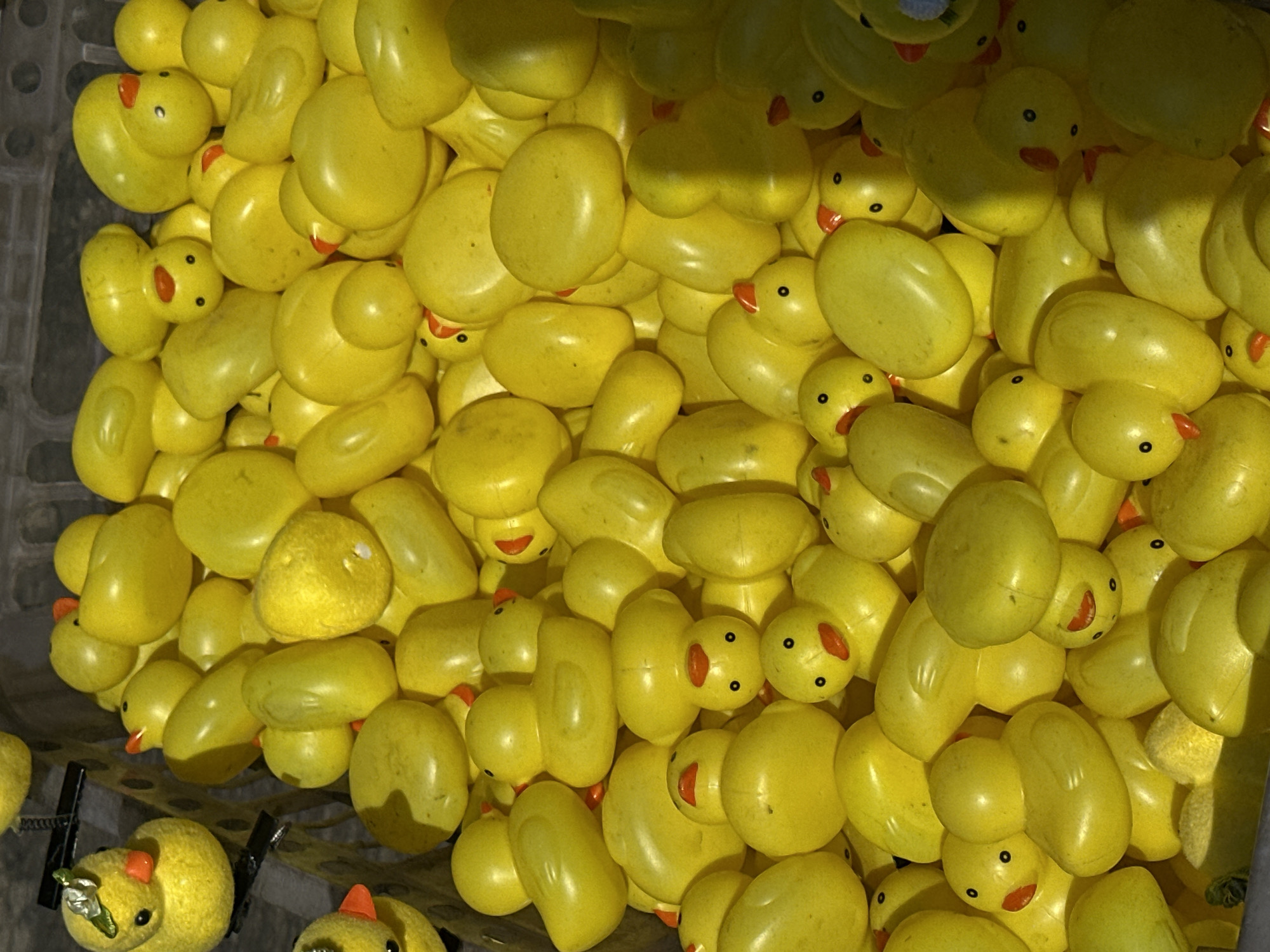 A large number of yellow rubber ducks are contained in a grey plastic crate. The ducks are densely packed, with only parts of their faces and bodies visible. The ducks have orange beaks and black eyes. Some of the ducks have additional adornments on their heads, possibly decorations. The location of the scene is Bangkok, Thailand. The context of why there is a large number of rubber ducks is not visible.