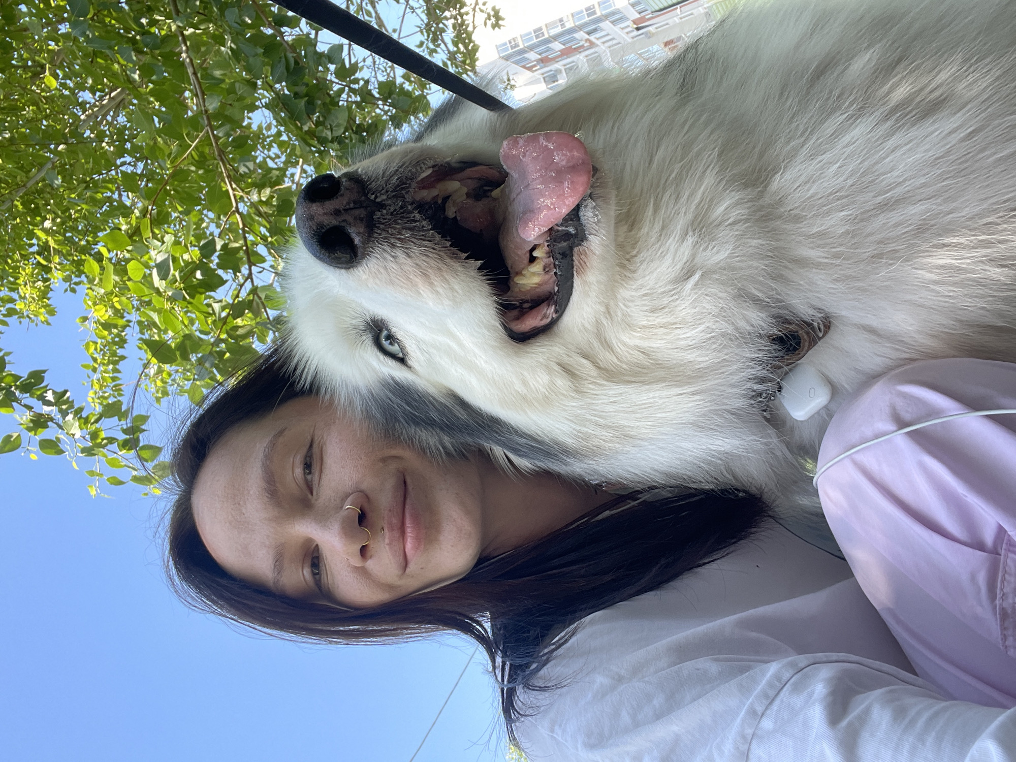 A woman is taking a selfie with a large white dog outdoors. The dog is panting, with its mouth open and tongue visible. The woman has dark hair, a nose ring, and is wearing a white shirt. The background includes green leaves, a blue sky, and a blurry building. There are no indications in the image that indicate the image was taken in Izhevsk, Russia.
