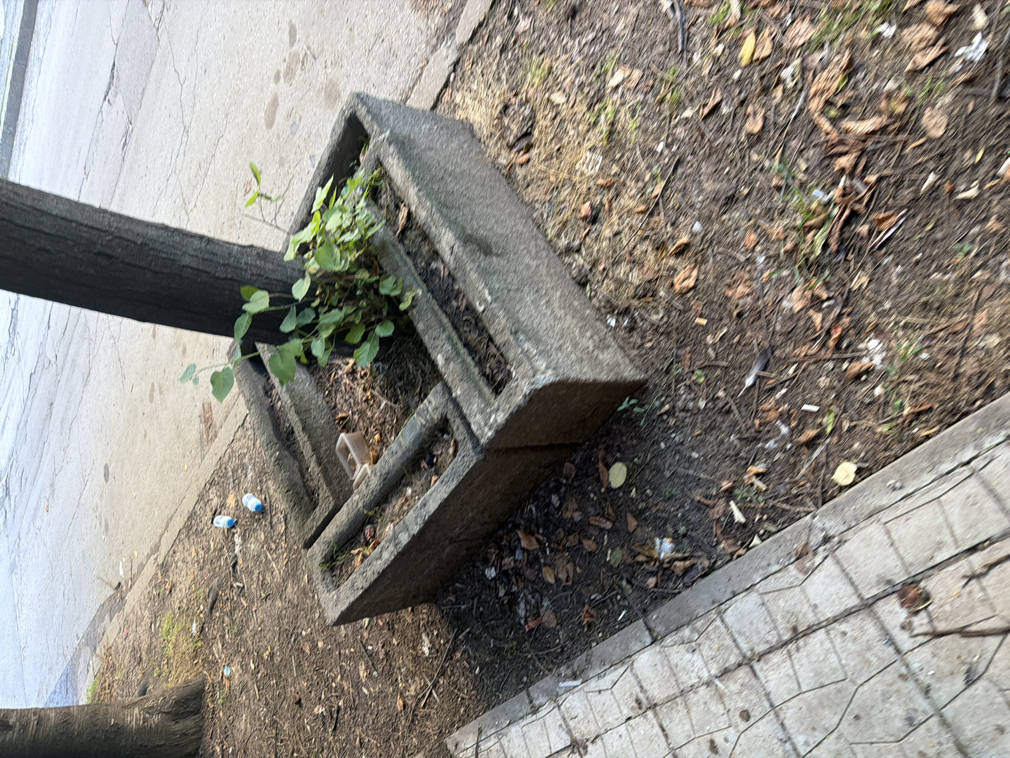 The image depicts a planter box, likely made of concrete, situated on a sidewalk next to a tree. The planter contains some sparse green foliage and appears to be somewhat neglected, with debris and fallen leaves scattered around it. Two plastic water bottles, one blue and one white, are visible on the ground near the planter and sidewalk. The sidewalk itself is made of light-colored pavers. In the background, a paved street is visible. The overall scene suggests an urban environment. There is no direct evidence to suggest this location is in Ruse, Bulgaria.