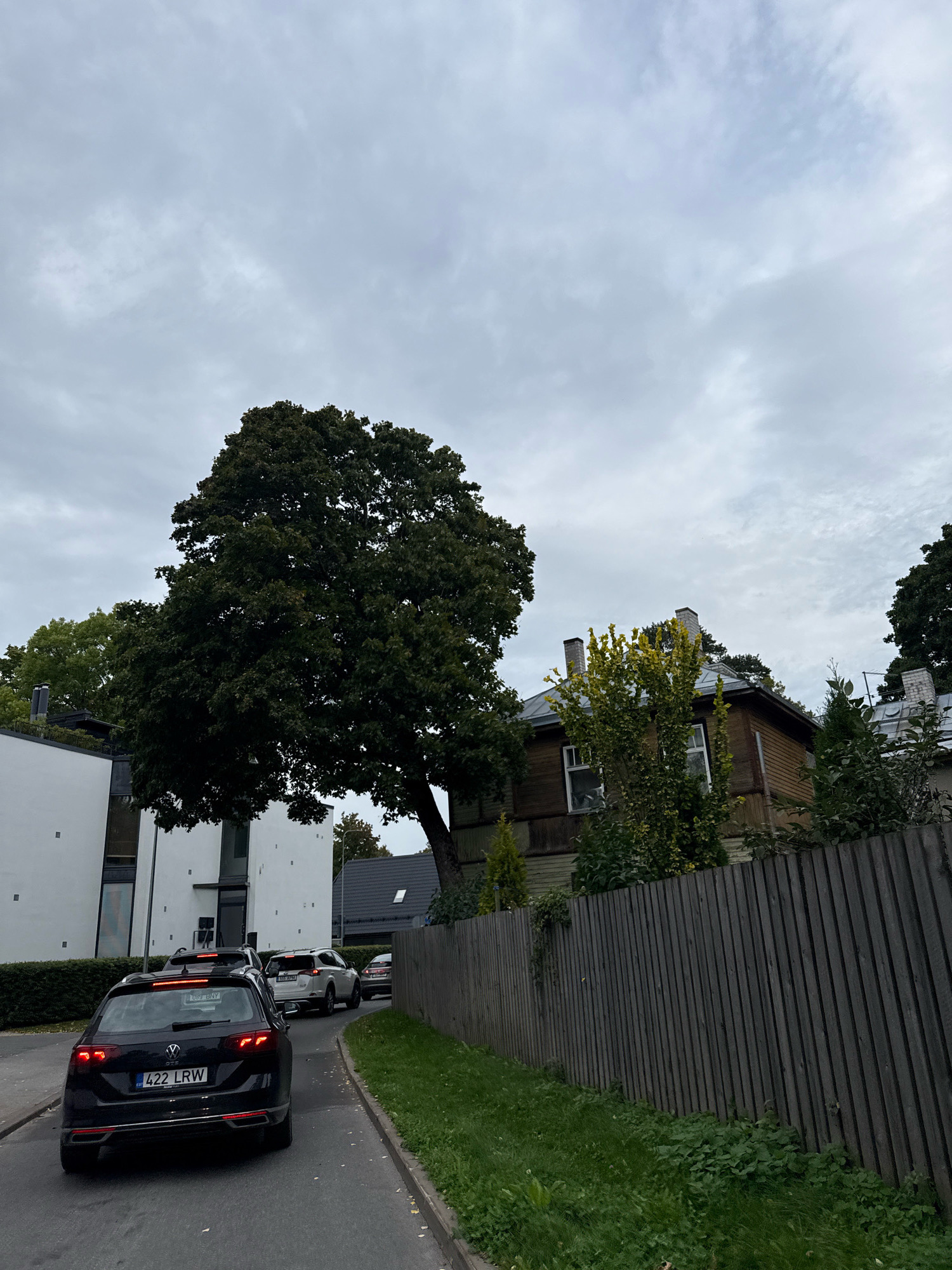 The image shows a street scene in Tallinn, Estonia, on a cloudy day. In the foreground, a black Volkswagen station wagon with the license plate "422 LRW" is driving on a paved road. Behind it, other cars are visible, including a white SUV and a silver car further down the road. To the right of the road, a weathered wooden fence runs along the side of a property with green grass and some low-lying plants. Beyond the fence, a traditional wooden house with a metal roof and visible chimneys can be seen. To the left of the road, a modern white building with dark windows stands. A large, dark green tree with dense foliage is prominent in the middle ground, partially obscuring the view of the houses. The sky is overcast with light gray clouds. The overall impression is of a residential street in an urban or suburban setting.