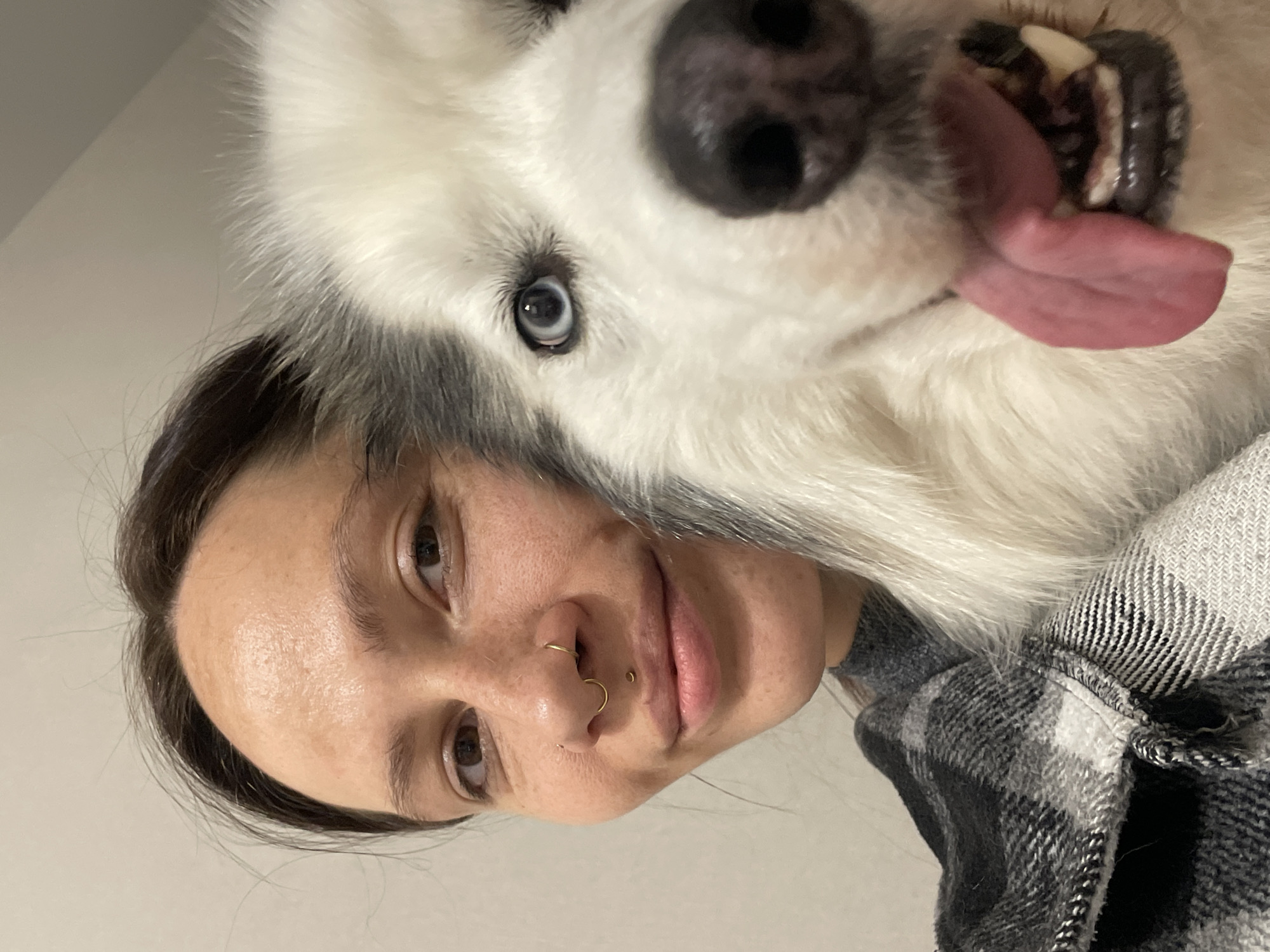 A woman with pierced nostrils takes a selfie with a dog, a Siberian Husky, in an indoor location in Pervomaysky, Russia. The dog has blue eyes and its tongue is sticking out. The woman has brown eyes and hair. She is wearing a gray and black flannel shirt. The background is a white wall.