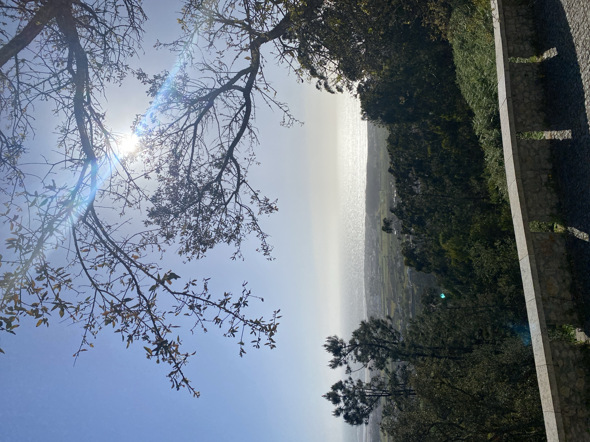 The photograph captures a vista in Esposende, Portugal, taken from an elevated position. In the foreground, tree branches with budding leaves frame the upper left of the image. To the right, dense green foliage extends downwards, meeting a stone wall structure. The central view opens to a distant expanse, possibly the Atlantic Ocean, shimmering under a bright sun. The land below, between the observer and the water, suggests a coastal plain dotted with buildings and green fields. The sky is a gradient of blue, fading to a lighter hue near the horizon due to atmospheric haze. The sun's glare creates lens flares across the upper left portion of the frame.