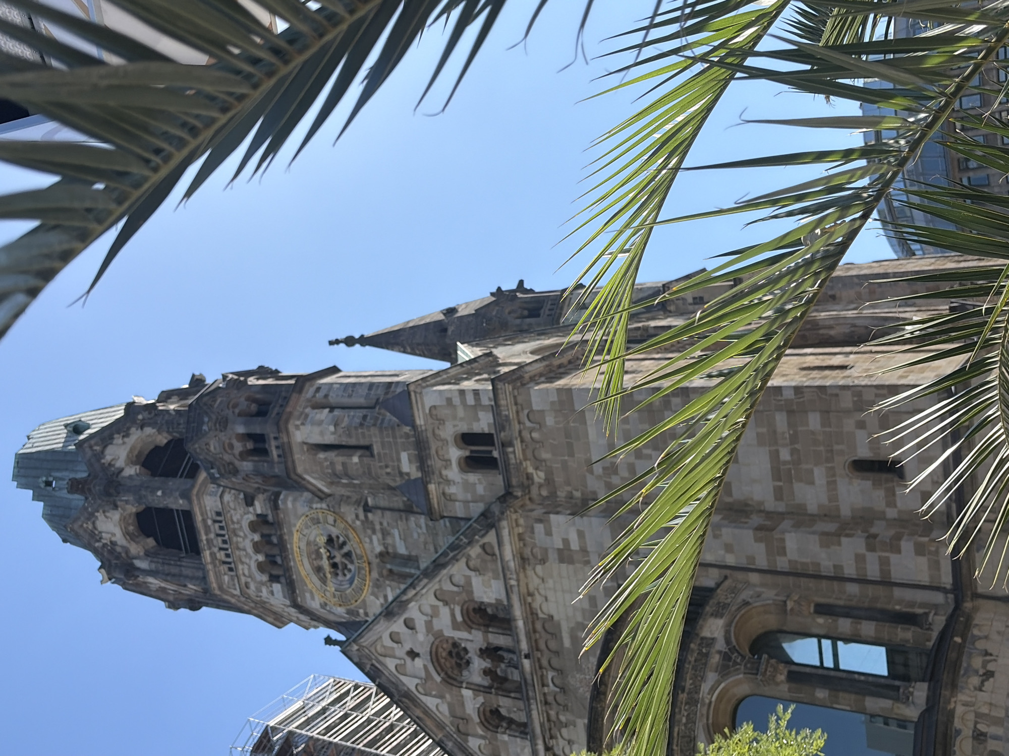An upward-angle, medium shot captures the Kaiser Wilhelm Memorial Church in Berlin, Germany, on a bright, sunny day. The church's iconic ruin tower, made of weathered stone, dominates the left side of the frame, its Gothic architecture featuring arched windows and a large circular clock face with Roman numerals. To the right of the main tower, a smaller, pointed spire rises against the clear blue sky. In the foreground, the fronds of a palm tree, in sharp focus, obscure a portion of the church and the sky, creating a layered effect. The background on the far left shows a modern building covered in scaffolding, and to the right, other modern buildings with glass facades are visible. No people or animals are present in the image. The overall scene depicts a juxtaposition of historical architecture and modern urban development under a cloudless sky.
