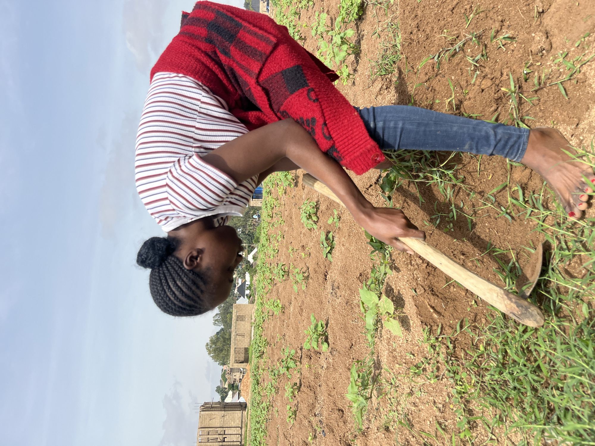 A young woman is tilling soil in a field with a hoe. She is wearing a striped shirt, a red and black patterned wrap, and blue jeans. Her hair is braided and tied in a bun. The field is covered with young green plants. In the background, there are unfinished buildings, trees, and a cloudy sky. The location is Bukuru, Nigeria.
