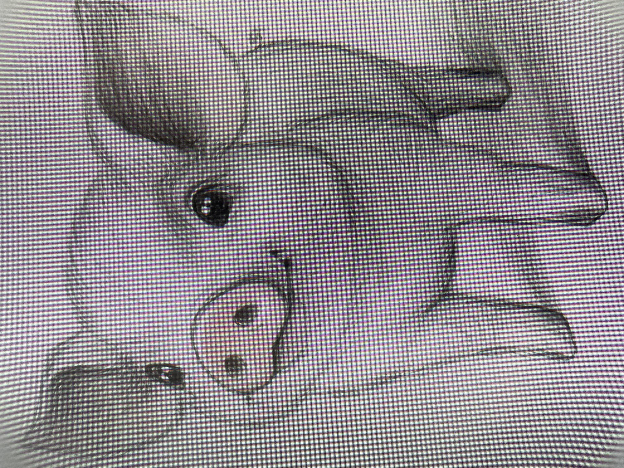 The main image displays a close-up, rotated photograph of a pencil drawing of a pig's head. The artwork is rendered in shades of black and gray, with the pig's snout featuring a distinct soft pink color. The pig's head is oriented such that its snout points towards the bottom of the frame, and its large, textured ears extend towards the left and right.
One of the pig's eyes, appearing as a dark, reflective orb, is prominently visible in the upper-left area of the drawing, suggesting a gentle or curious expression. The snout is detailed with two dark, oval-shaped nostrils. Fine lines indicative of hair or fur are visible across the pig's head and around its ears, adding texture and depth to the drawing.
A prominent, uniform grid pattern overlays the entirety of the image, strongly suggesting that this is a photograph taken of a digital screen (e.g., a monitor or tablet) displaying the artwork. No specific activity or event is taking place, as the image captures a static artistic representation. There is no visible text in the image.