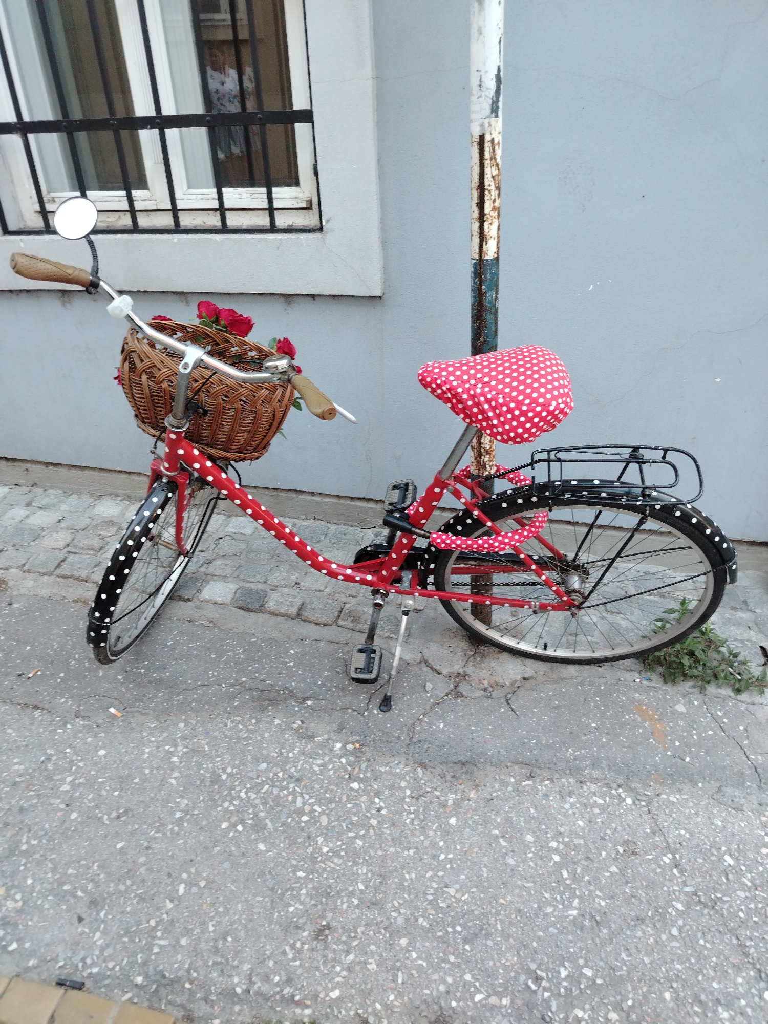 The image shows a red and white polka dot bicycle parked on a cobblestone street next to a pale blue building. The bicycle has a wicker basket on the front filled with red roses, a red and white polka dot seat, and a black rack on the back. The bicycle is leaning against a rusted metal pole. A window with black bars is visible on the building behind the bicycle, and a reflection of a person in a floral dress can be seen in the window. The street is cracked asphalt with some small plants growing out of the cracks. The scene appears to be in Petrovaradin, Serbia, based on the provided context.