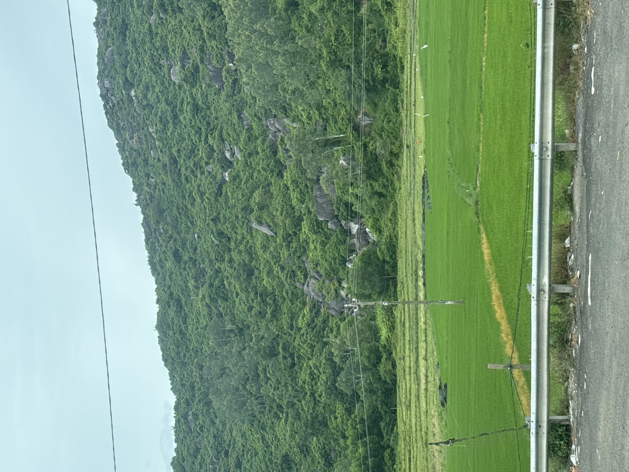 The image depicts a lush green rice paddy field in front of a densely vegetated, rocky hill. A grey metal guardrail separates the foreground road from the rice field. In the middle ground, a wooden utility pole with power lines stretches across the frame, connecting to a smaller pole within the field. The rice field is predominantly bright green, with some areas showing signs of a drier, yellow hue. The hill is covered in thick green foliage, with large grey rocks interspersed throughout. The sky is overcast and pale blue. The location is identified as Hoa Xuan, Vietnam.