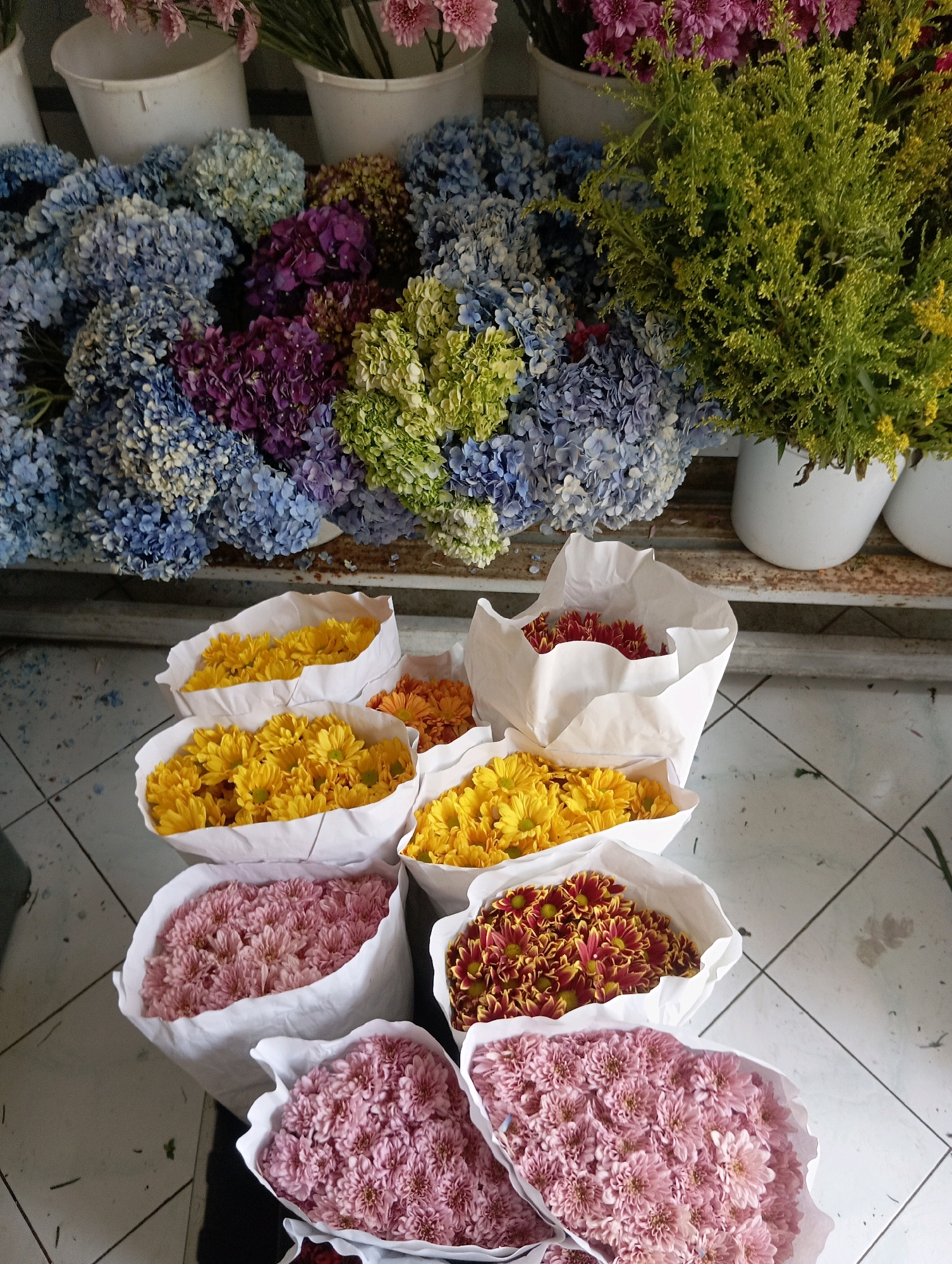 A florist's stall in Semarang, Indonesia, displays a vibrant assortment of fresh flowers. The foreground features several white paper-wrapped bouquets, revealing the colorful contents: a large bunch of pink chrysanthemums, another of yellow chrysanthemums, and a smaller bouquet of red and yellow chrysanthemums. In the mid-ground, more white paper-wrapped bouquets hold yellow and orange chrysanthemums. The background is dominated by a lush display of hydrangeas in various shades of blue, purple, and green. Behind the hydrangeas, two white pots hold pink flowers and delicate green foliage, respectively. The stall is situated on a tiled floor, with the overall impression being one of a bountiful and well-stocked flower market.
