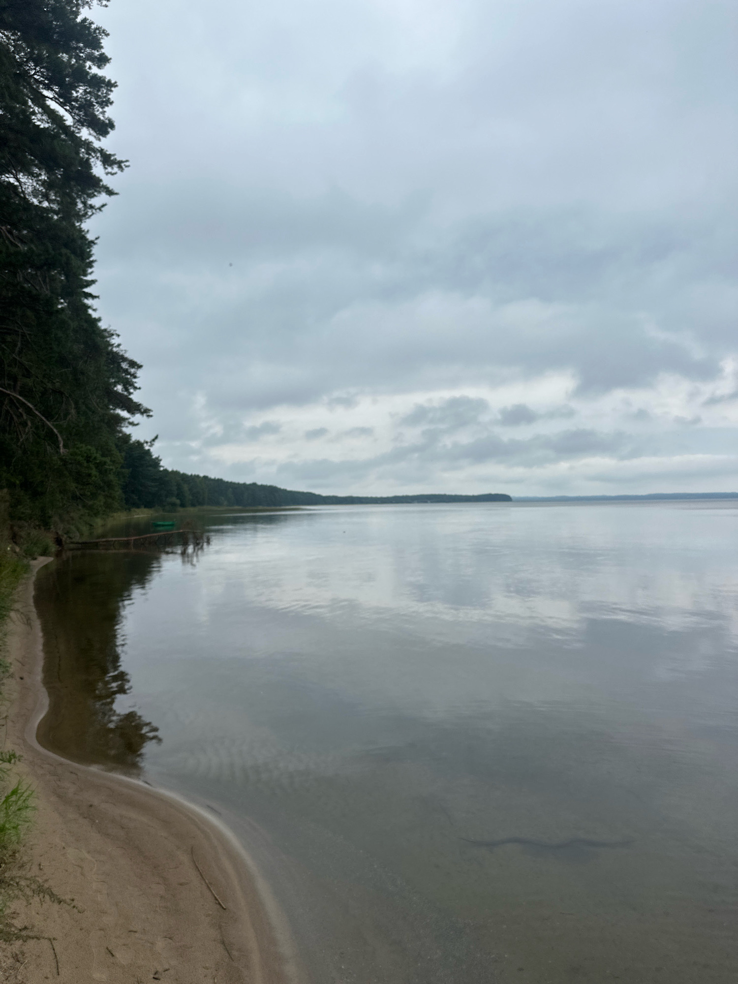 The image depicts a serene lake scene under a cloudy sky. On the left side of the frame, a sandy shore curves gently, bordered by a dense forest of pine trees. The trees overhang the water, casting reflections on its surface. In the distance, along the far shore of the lake, a continuous line of trees forms a horizon. The lake itself is calm and reflects the muted tones of the overcast sky. A small, green boat is visible near the shore, nestled among the trees. The water is shallow near the edge, allowing visibility of the sandy bottom and a dark, elongated shadow, possibly a submerged log or a creature, lying on it. The overall atmosphere is tranquil and natural, suggestive of a peaceful natural reserve or parkland in the Нарацкі сельскі Савет, Belarus.