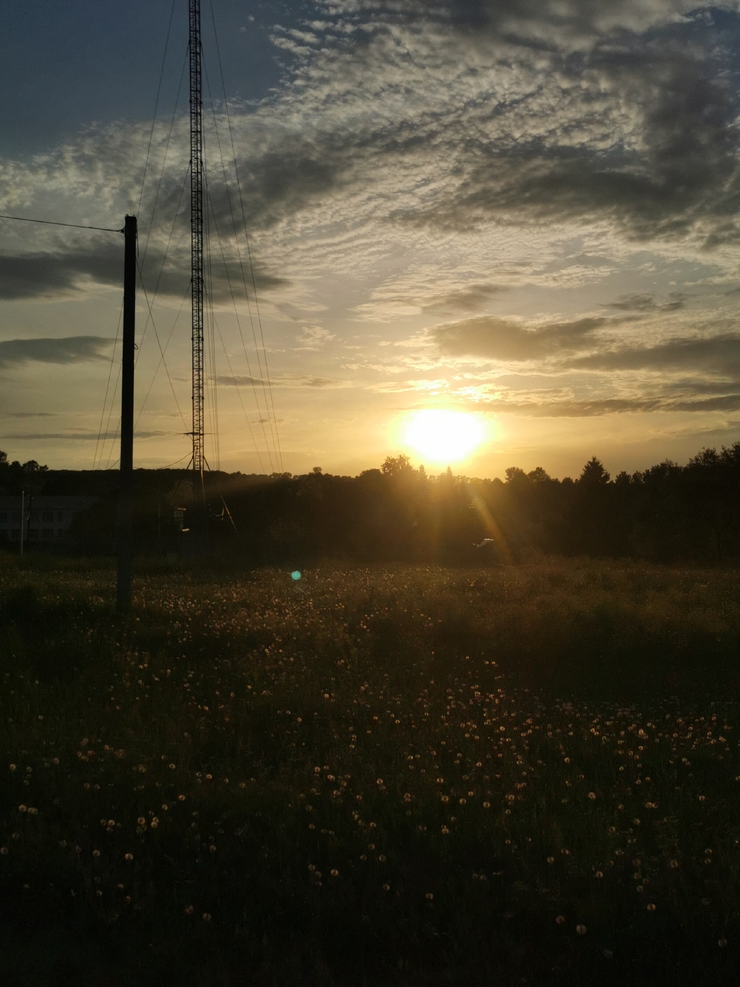 This is a full-frame, vertical, outdoor, natural light photograph taken at sunset. The scene depicts a field dotted with dandelion seed heads in the foreground, leading to a dark silhouette of trees and vegetation. A tall radio tower stands to the left of the frame, partially silhouetted against the sky. A utility pole with wires extends from the tower towards the left edge of the image. The sky is filled with a mixture of clouds and the bright setting sun, which casts a warm glow over the landscape and creates lens flare. The overall impression is one of a rural or semi-rural setting at dusk. The image is not explicitly identifiable as being in Makaryevka, Russia, but the elements suggest a location consistent with a Russian landscape during this time of year. There are no people or animals visible in the image.