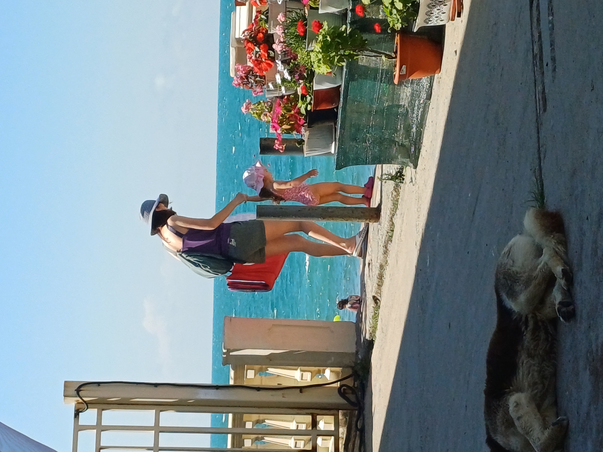 In Sochi, Russia, on a sunny day, a woman wearing a purple tank top, grey hat, and grey shorts, carrying a red bag and a green backpack, walks with a young child in a pink swimsuit and pink hat along a paved area next to the turquoise Black Sea. The child is holding the woman's hand. In the distance, a person is partially visible in the water. In the foreground, a medium-sized dog with brown and white fur sleeps on the pavement, partially in the shade of a building. To the right of the walkway, a display of potted flowers in various containers, including red, pink, and white blooms, sits on a dark green surface. A white railing and a portion of a gate are visible on the left side of the image, framing the scene. The sky is clear and blue.