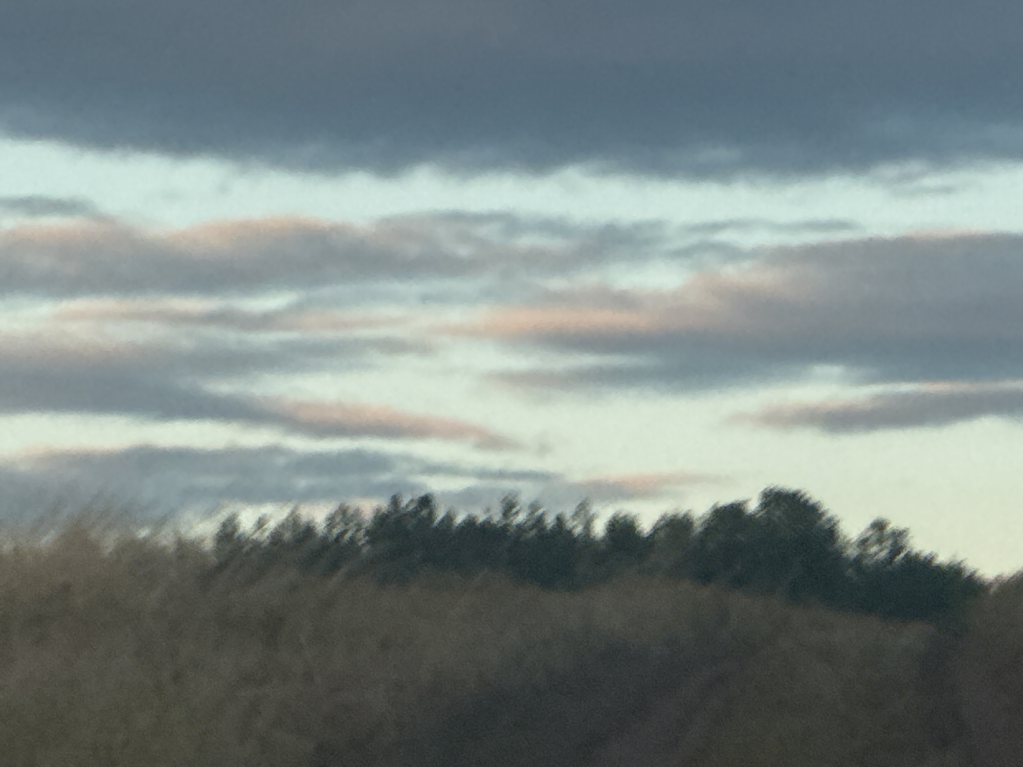 The image depicts a landscape view from Васильевка, Russia, featuring a sky filled with layered clouds in shades of blue, gray, and pink. Below the sky, a dark band of trees forms the horizon line, with the foreground showing a muted, out-of-focus area of vegetation. The image is blurry overall, suggesting it may have been taken with a low-resolution camera or in motion. There are no people or specific objects clearly identifiable.