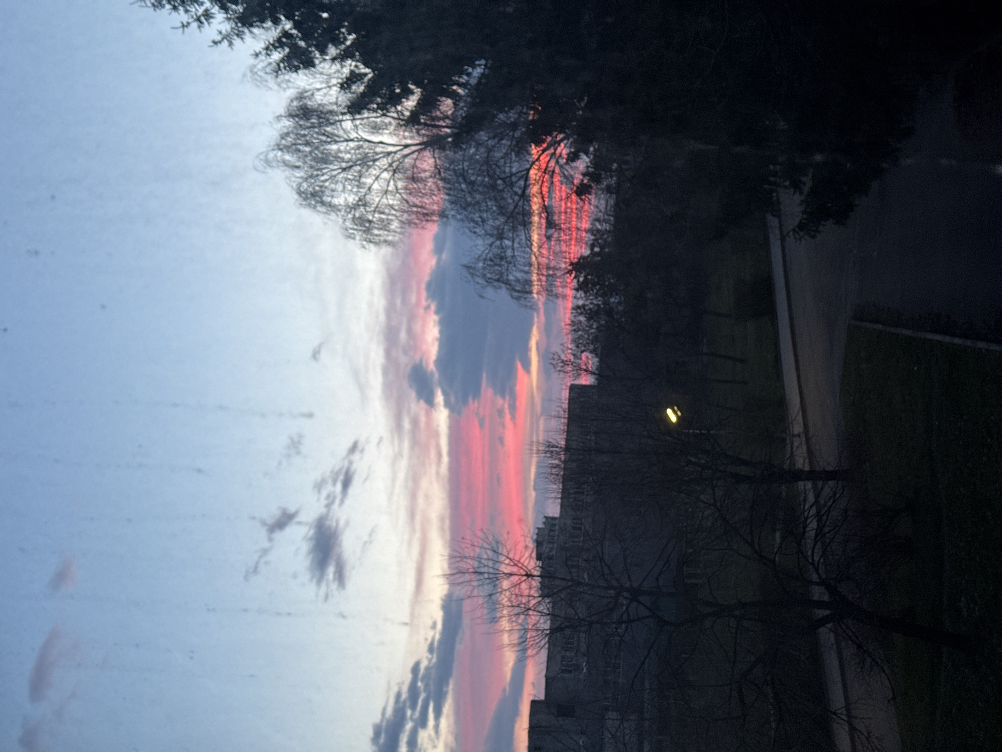 The image depicts an urban landscape at either dawn or dusk, viewed from an elevated position, possibly through a window with visible smudges and streaks. The sky presents a gradient from pale blue at the zenith to vivid pink and orange above the horizon, with scattered dark clouds. Dominating the middle ground are numerous deciduous trees, largely bare of foliage, forming dark silhouettes. Several coniferous trees are also visible, particularly on the right side. Below, a paved pathway or road winds through a dark, grassy area. A single street light, emitting a yellow glow, is active on the lower right. In the background, a large, multi-story building with a flat roofline and visible windows, consistent with institutional architecture, is prominent on the left. Further back, a second building with a more complex, multi-tiered roof structure is partially discernible. No people or vehicles are visible. The scene is located in Sofia, Bulgaria, specifically in the vicinity of Sofia University "St. Kliment Ohridski," with the prominent background building strongly resembling the Faculty of Mathematics and Informatics.
