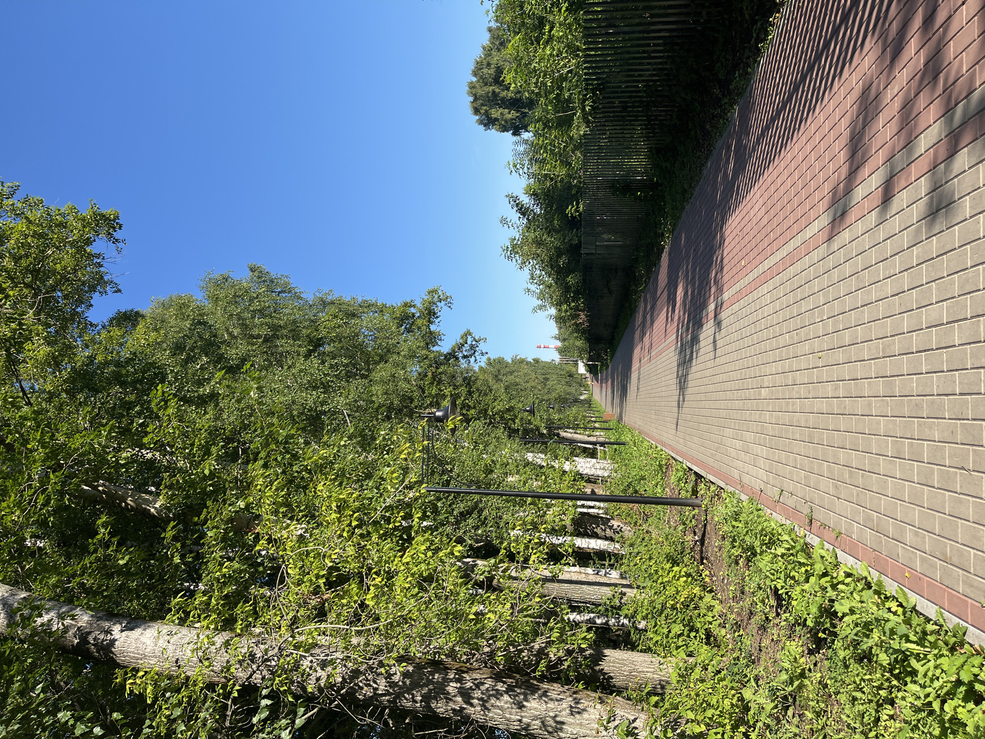 The image shows a paved walkway lined with trees and vegetation. The walkway is constructed with light brown and reddish-brown rectangular pavers, laid in a pattern that runs towards the horizon. On the left side of the walkway, there is a dense row of trees with lush green foliage and thick trunks. The ground next to the trees is covered in green grass and smaller plants. Several black lampposts are visible along the walkway, spaced at intervals. The right side of the walkway is bordered by a light-colored wooden fence, beyond which is more green vegetation. The sky above is clear and blue. In the distance, a tall red and white structure, possibly a smokestack or industrial building, is visible. The scene appears to be a park or a landscaped area within a city, likely in Blagoveshchensk, Russia, given the context provided. The lighting suggests it is daytime, with shadows cast across the walkway from the trees. There are no people or animals visible in the image.
