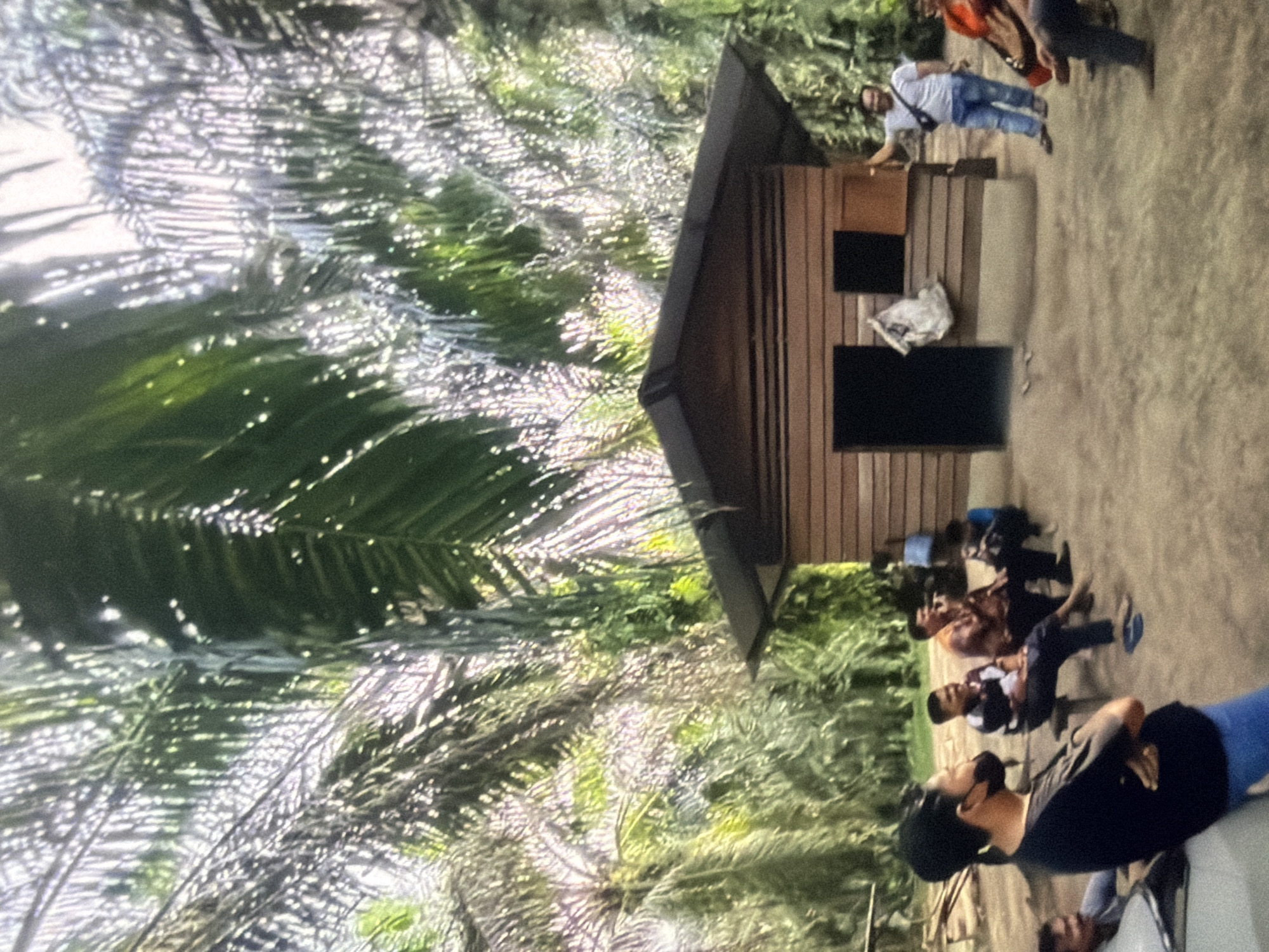The image depicts an outdoor scene with a small wooden building in a tropical setting, likely a palm oil plantation, given the dense palm trees. Several individuals are present. In the foreground, a person wearing a black t-shirt and blue jeans stands with arms crossed, facing away from the camera, with a mask covering their nose and mouth. To the left, part of a vehicle is visible.
In the middle ground, a group of men are seated on a bench and the ground, appearing to be in conversation. One man in a white t-shirt and blue jeans stands near the wooden building, raising his hand as if greeting or pointing. The building has a dark roof and wooden siding, with a doorway and a window. A bag hangs on the exterior wall of the building near the doorway.
The environment is characterized by soft, sandy ground and the lush foliage of palm trees, with dappled sunlight filtering through the leaves. The overall atmosphere suggests a casual gathering or meeting in a rural or remote location.