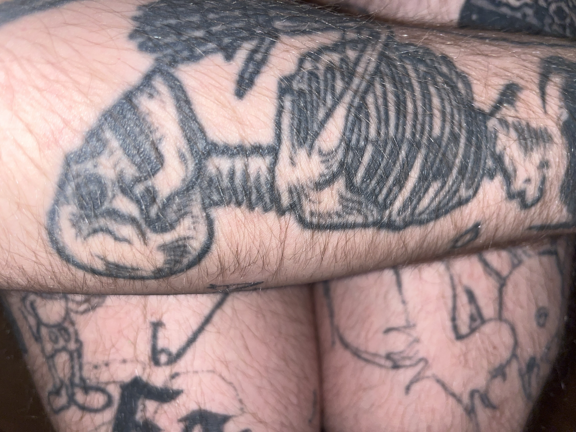 A close-up, full-frame, eye-level shot shows a person's leg covered in tattoos. The primary subject is a large, black ink tattoo of a skeleton that dominates the right side of the frame. The skeleton is depicted from the torso up, with a skull at the top, a ribbed torso, and what appears to be a spine below. The skin is fair and has visible hair follicles and light hair growth. To the left of the skeleton tattoo, other black ink tattoos are visible on the leg, though they are partially obscured and less detailed. These appear to be drawings of various objects or figures, including what might be a gun and other abstract shapes. The background is the person's skin and hair. The lighting is even, highlighting the texture of the skin and the ink of the tattoos. The image is sharp and detailed.
