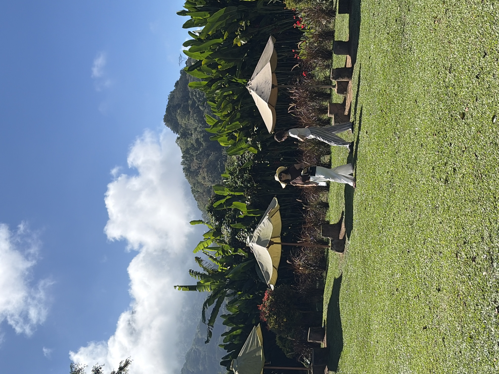 This is a full-shot, eye-level, natural light photograph of a scenic landscape in Sukasada, Indonesia. The foreground is a lush green lawn with shadows cast by three large, light-colored patio umbrellas. In the middle ground, two women are walking across the lawn. The woman on the left wears a straw hat, a brown shirt, and white pants. The woman on the right wears a white shirt and striped pants. Behind the women is a dense wall of tropical foliage, including large banana leaves and other green plants. In the background, misty mountains rise under a blue sky with scattered white clouds.
