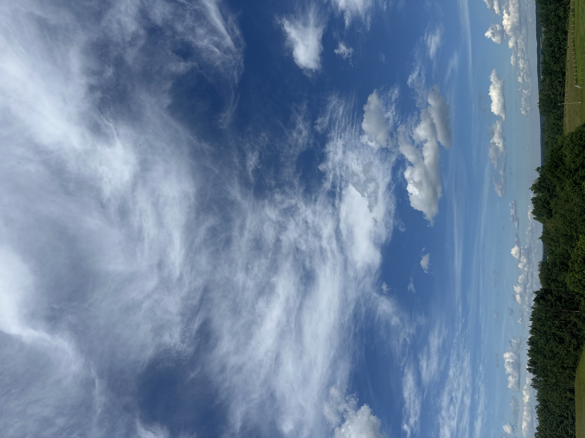 The image depicts a vast blue sky filled with wispy white clouds, stretching across the frame. The clouds are thin and feathery, suggesting fair weather. The sky transitions from a clear, deep blue at the top of the image to a lighter hue near the horizon. Below the sky, a dense, dark green treeline runs horizontally across the right side of the image, indicating a wooded area. A small strip of green grass is visible in the foreground on the far right, with a faint vertical line of fence posts. The sun is likely shining, given the bright white of the clouds. The overall impression is one of a peaceful, natural landscape on a clear day, possibly late morning or early afternoon. There is no visible text or human activity. The image is oriented vertically.