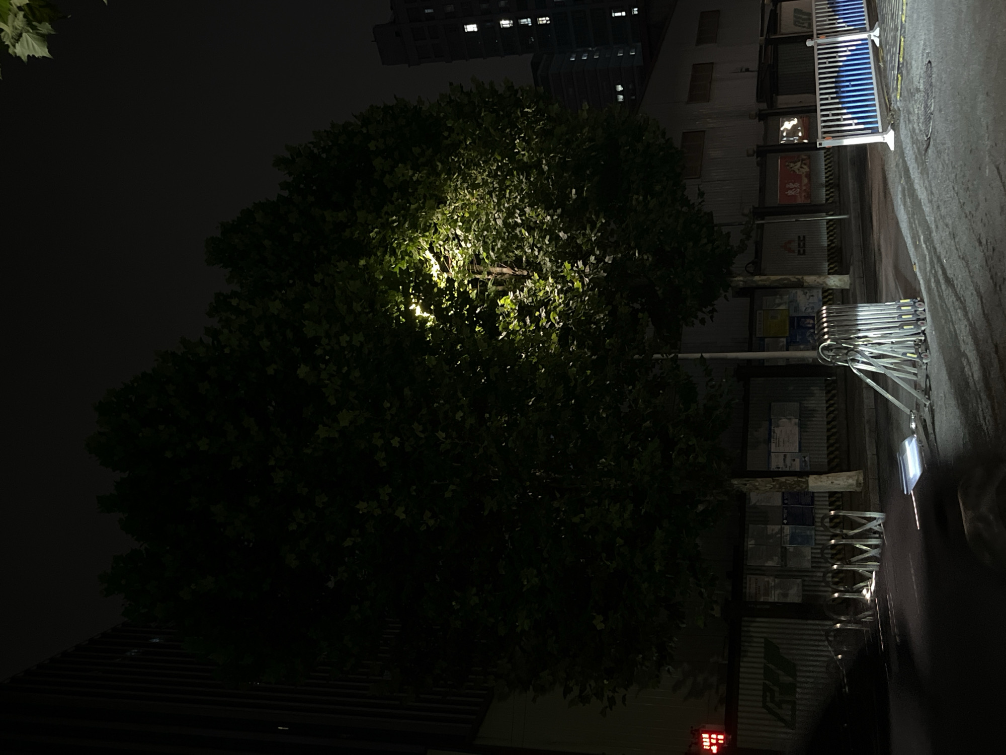 At nighttime in the Yuzhong District of China, two mature trees are illuminated by a streetlamp in the foreground. The tree on the right is more directly lit, with its leaves appearing bright green in contrast to the surrounding darkness. Behind the trees, a low, corrugated metal building stretches across the frame, with some of its windows showing internal light. To the left of the trees, a dark, tall building with vertical lines is visible. The ground in front of the building and trees is paved, with several metal bike racks and a portable, folding metal barrier present. In the distance, two taller buildings with visible lit windows are silhouetted against the dark sky. A red traffic light is visible on a pole to the far left of the image. The scene appears to be an urban street or park area at night.