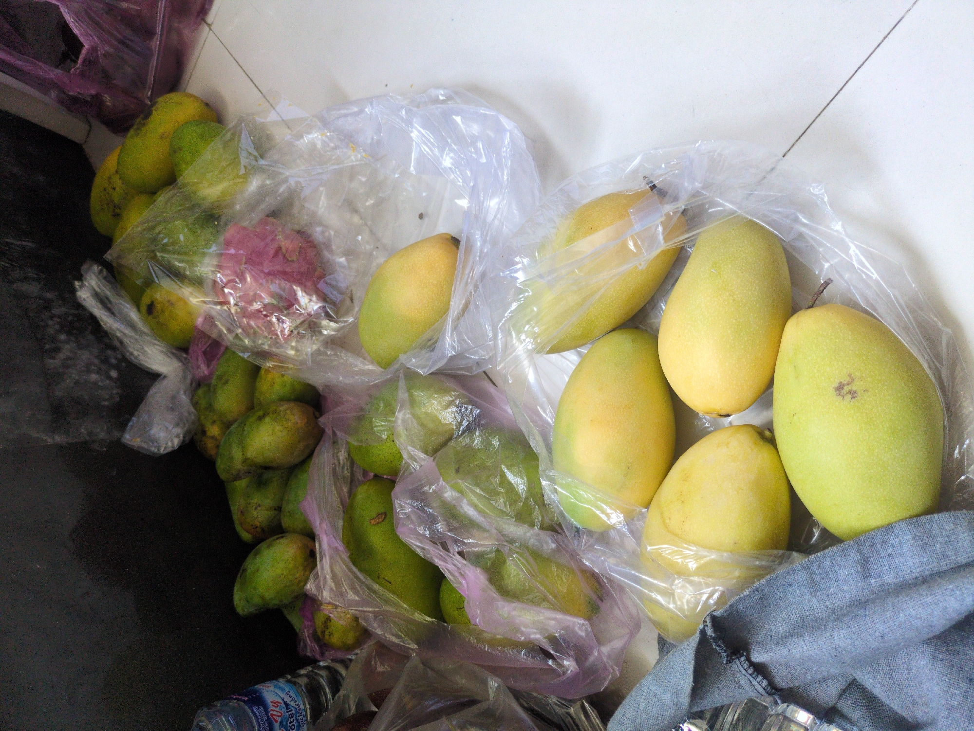 The image displays a collection of fruits on a white tiled floor within an indoor setting in South Quy Nhon Ward, Vietnam. The scene is dominated by approximately 30-40 mangoes, varying in color from green to yellow, indicating different stages of ripeness. These mangoes are largely contained within numerous transparent plastic bags, some clear and some with a faint purple tint. One reddish-purple fruit, consistent with a dragon fruit, is visible within a clear plastic bag in the upper-middle section. To the far left, a clear plastic water bottle with a blue label, partially revealing "HOTEL", stands. A crumpled piece of blue-gray fabric rests in the lower-left corner. The background features a dark, textured wall, possibly black or dark gray. The white floor consists of square tiles separated by dark grout lines. No individuals are present in the image.