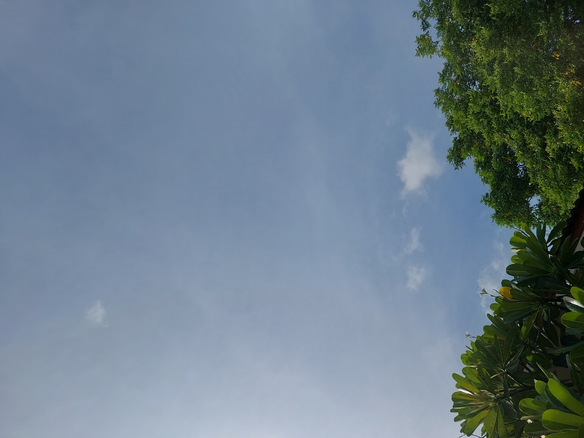 The image shows a clear blue sky with scattered white clouds, viewed from below looking upwards. In the foreground, lush green foliage from trees occupies the bottom portion of the frame. On the left, broad, waxy leaves are visible, with a hint of white flowers. On the right, a dense canopy of smaller, darker green leaves is present, suggesting a different type of tree. The scene appears to be outdoors, likely in a tropical or subtropical location, given the type of vegetation. The lighting indicates it is daytime, with the sun likely positioned to the left, casting a slight glare in that area of the sky. The location is identified as Baan Mae Nam, Thailand.