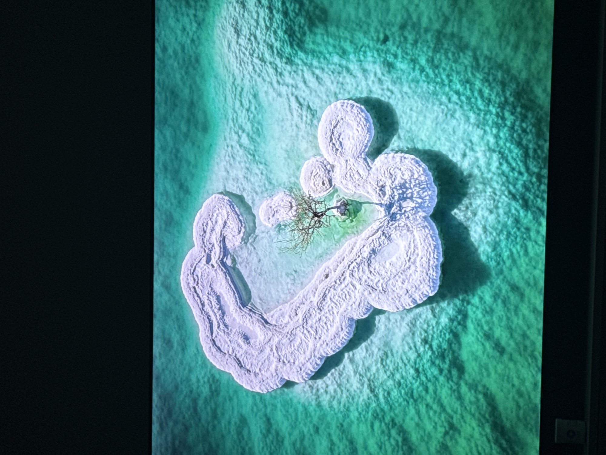 A close-up, top-down photograph depicts a salt formation in the Dead Sea, located in an unknown city of Unknown. The formation appears as a large, irregular, white, solid mass surrounded by a turquoise body of water. A bare, leafless tree stands in the center of the formation. The environment surrounding the salt formation consists of rough textured, turquoise colored water.