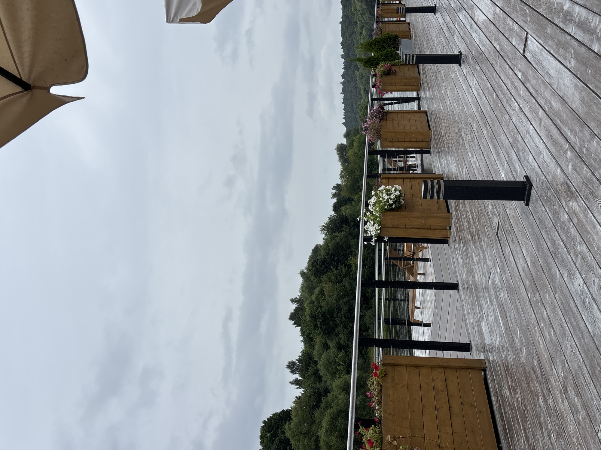 The image depicts a wooden deck with planters and outdoor lighting, situated near a body of water. The deck is wet, suggesting recent rain. A row of wooden planters filled with flowers and small evergreen trees lines the railing that separates the deck from the water. In the background, a dense green forest borders the water. The sky is overcast with grey clouds. The scene appears to be an outdoor seating area or promenade, possibly part of a restaurant or park in Zvenigorod, Russia, given the architectural style and the natural landscape often found in the region. There are no people visible in the frame.