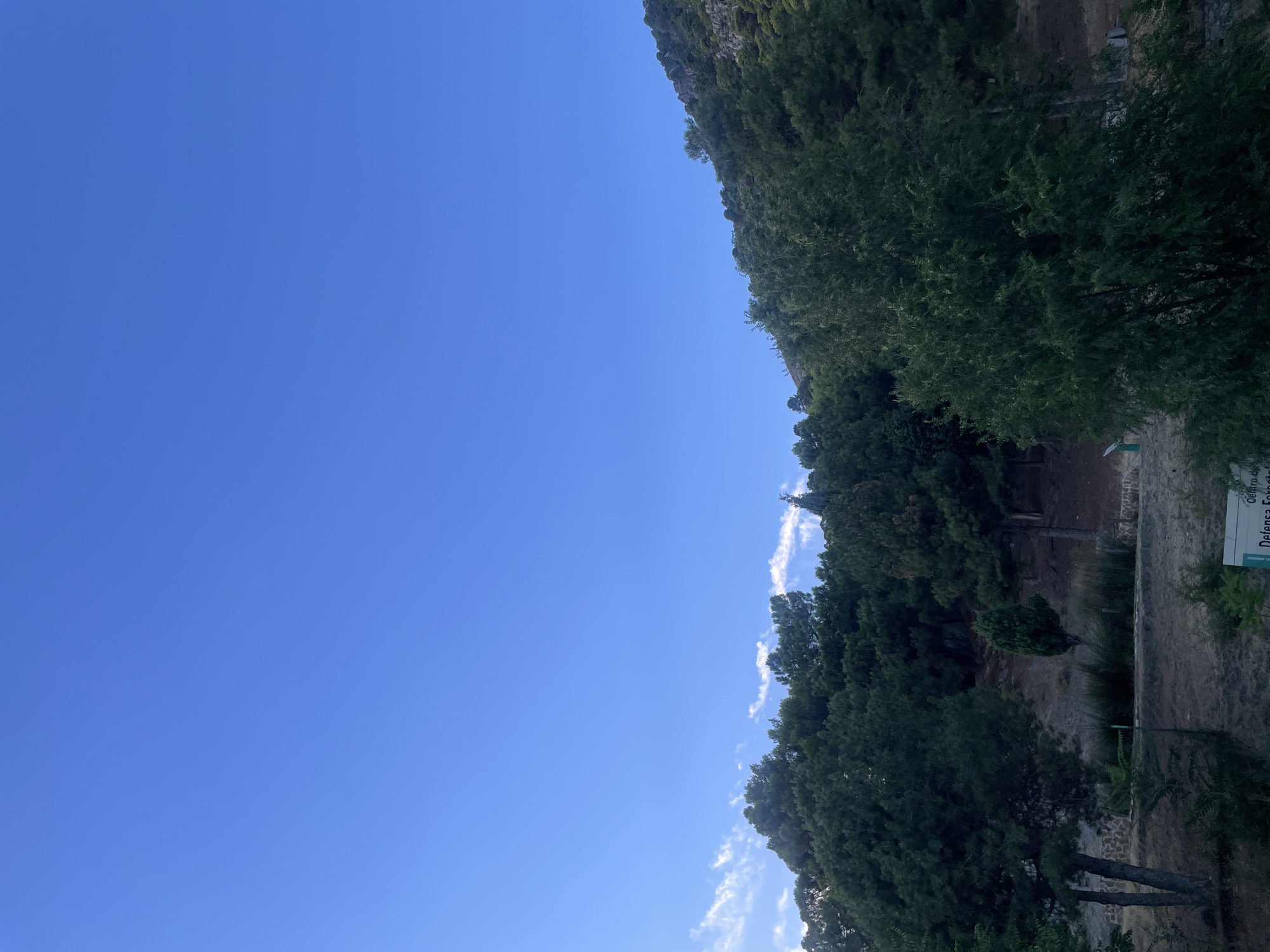 This is a landscape photograph taken from a slightly elevated position, looking towards a tree-covered hillside under a clear blue sky. The scene appears to be in the municipality of Víznar, Spain, likely in a natural or semi-natural park area.
The foreground shows a dry, grassy area with some scattered trees. There is a low stone wall and some fencing, suggesting a maintained path or boundary. A signpost is partially visible in the lower right corner. The midground is dominated by a dense forest of dark green coniferous trees covering the slope of a hill. Some of these trees are tall and slender, while others are more rounded and full. The hillside itself is rocky and appears dry, with patches of vegetation.
In the background, the sky is a vast expanse of clear, vibrant blue with a few wisps of white clouds on the horizon, particularly visible above the treeline on the left side. The overall impression is one of a dry, sunny day in a rural or natural setting. There are no people or animals visible in the image. The lighting suggests it is either late afternoon or early morning due to the long shadows cast by some of the trees.