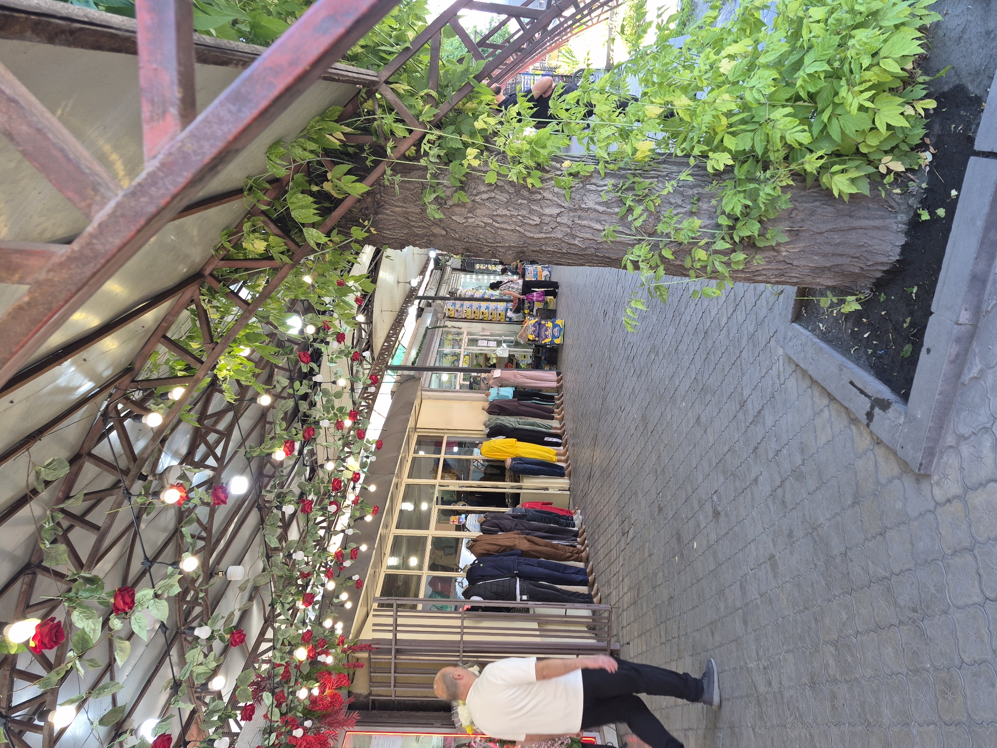 The image shows an outdoor commercial area in Yerevan, Armenia. A metal pergola structure, adorned with artificial roses and string lights, covers a walkway paved with interlocking concrete pavers. To the right of the walkway, a large tree trunk grows in a recessed planter. Shopfronts line the left side of the walkway, displaying mannequins dressed in various outfits behind glass windows. A man wearing a white t-shirt and dark trousers is walking toward the camera on the walkway. In the background, other people and commercial displays are visible further down the walkway.