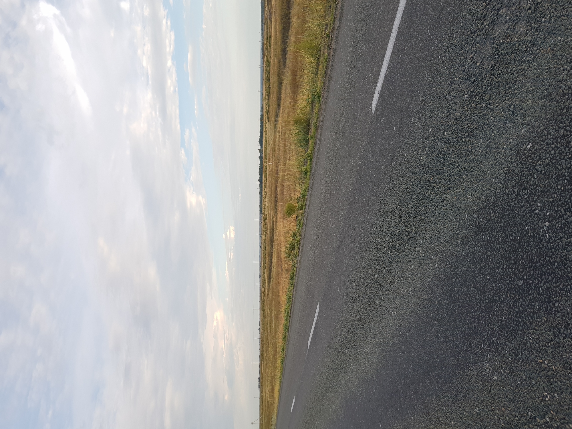 An asphalt road with white lane markings runs diagonally from the lower left to the upper right of the image. The road is bordered on the right by dry, golden-brown grass and some green vegetation. In the distance, a flat, open landscape stretches to the horizon, dotted with scattered trees and utility poles. The sky is filled with scattered white and grey clouds against a pale blue background. The scene appears to be located in the vicinity of Дөлен ауылдық округі, Kazakhstan, suggesting a rural or steppe environment. There are no people or animals visible in the frame.