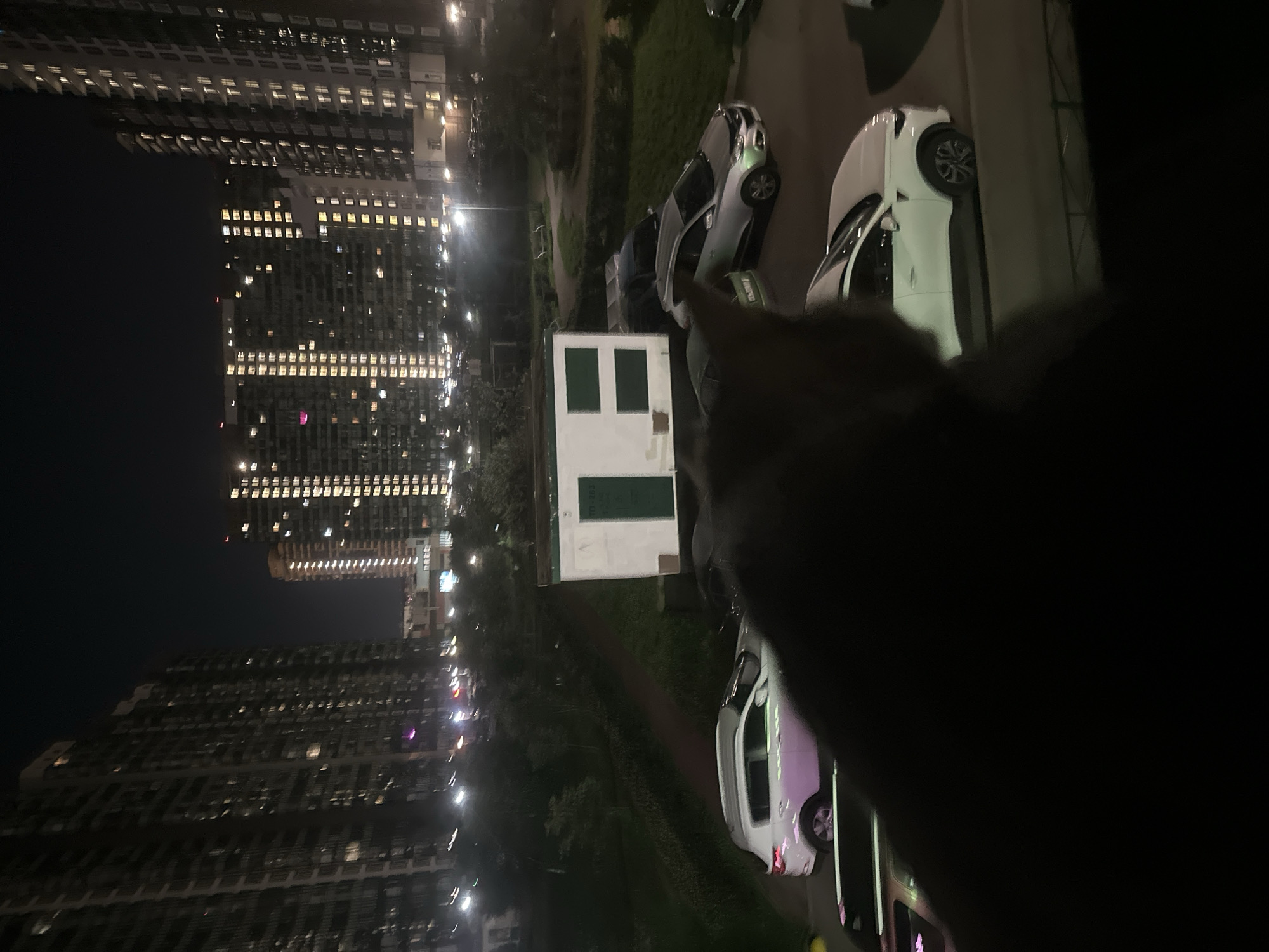 At night in Sinyavino, Russia, a view from a height shows multiple high-rise apartment buildings with illuminated windows. In the foreground, a dark, silhouetted subject, possibly a cat, obstructs the lower portion of the frame. Below the buildings, a paved area contains several parked cars, including a white SUV. A small white utility building with a green door is situated in the middle ground, amidst trees and a pathway. The overall scene depicts a residential urban environment at night, with artificial lighting from the buildings and vehicles being the primary light sources.